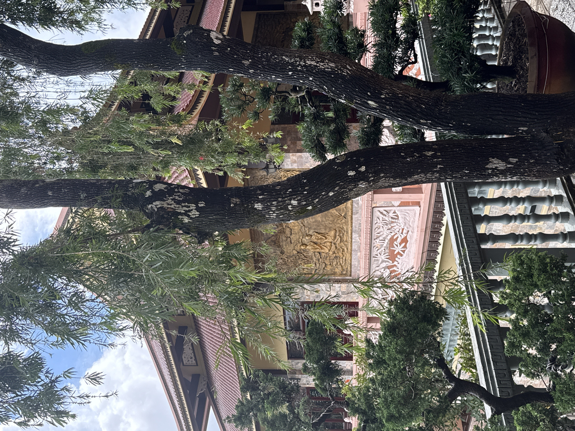 The image depicts a view of the Thien Vuong pagoda in Da Lat, Vietnam, as seen through the branches of two large trees. The pagoda, with its red tiled roof and ornate facade, serves as the backdrop to the foreground elements. The trees, with their dark, textured bark and drooping foliage, dominate the central and right portions of the image. In the middle ground, a gold relief adorns the pagoda wall, depicting two figures. Various bonsai trees and sculpted hedges are visible around the pagoda, adding to the serene and meticulously maintained atmosphere of the location. The sky above is partly cloudy, with patches of blue visible through the tree branches.