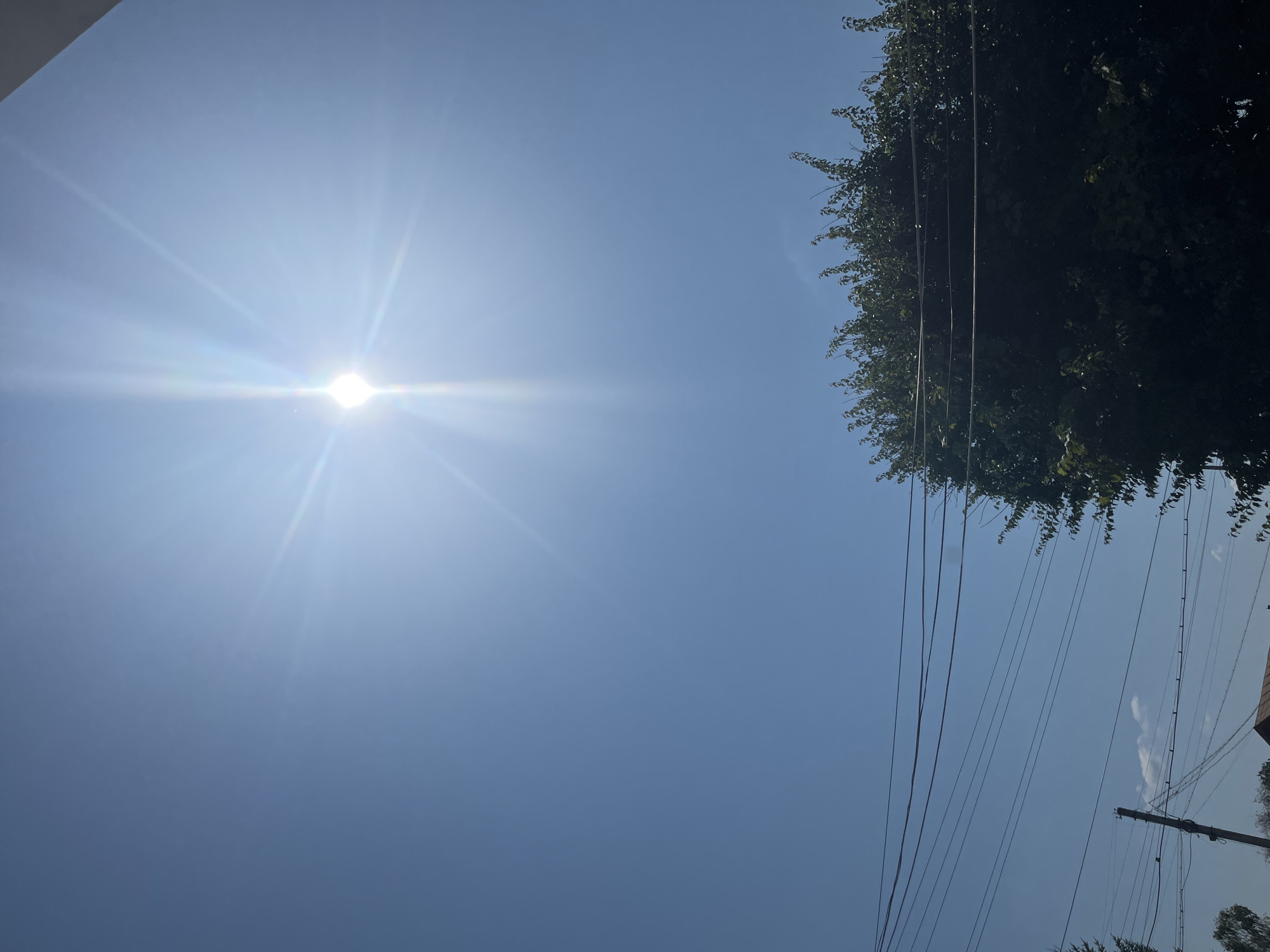 The image depicts a clear, bright blue sky on a sunny day, with the sun prominently featured in the upper center, casting a strong glare and lens flare. In the lower right portion of the frame, the dense foliage of a large tree is visible, partially obscuring some power lines that stretch horizontally across the scene. Further to the left, a utility pole with multiple power lines is also present. In the very bottom left corner, the peak of a roof structure can be seen. The environment suggests an outdoor urban setting, possibly a residential area, with the presence of trees and electrical infrastructure. Based on the metadata provided in the original image, this scene is located in Saratov, Russia.