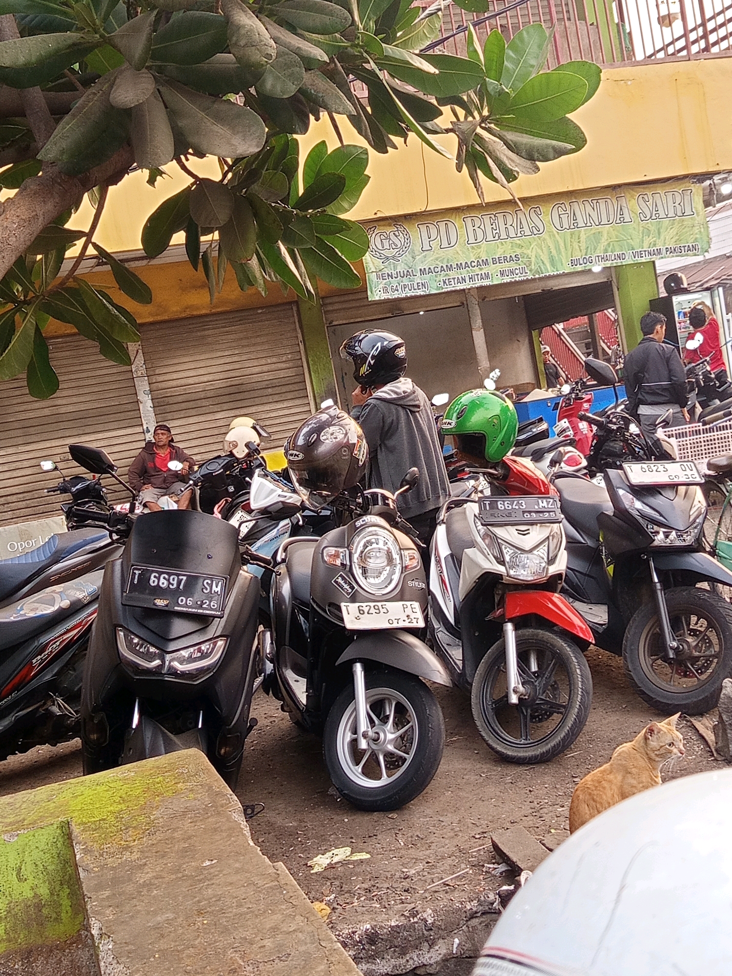 A street scene in Karawang, Indonesia, features a row of parked motorcycles in front of a shop. The shop's facade displays a yellow banner with green lettering that reads "PD BERAS GANDA SARI" and lists types of rice such as "IR 64 (Pulen)", "Ketan Hitam", and "Muncull", along with origins like "Bulog (Thailand / Vietnam Pakistan)".
In the foreground, several motorcycles are parked, including a black one with license plate "T 6697 SM" and an orange cat sitting nearby. A person wearing a red shirt and shorts is seated on one of the motorcycles, partially obscured by a tree branch with large green leaves overhead. Another person in a grey hoodie and helmet is standing next to a motorcycle.
Further back, more motorcycles are visible, some with riders, and a person in a black jacket is standing in front of a stall. The background shows a closed storefront with roll-up doors and a glimpse of a green building. The ground is dirt and gravel, with some concrete elements in the foreground. The lighting suggests it is daytime, with sunlight filtering through the tree leaves.