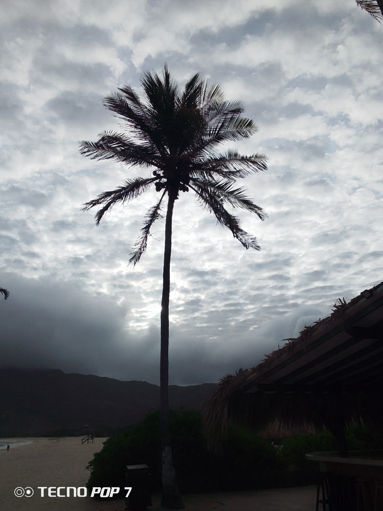 The image depicts a coastal scene in Pedro González, Venezuela, under an overcast sky filled with dense grey and white altocumulus clouds. A tall, slender palm tree, heavily silhouetted, dominates the central frame, its fronds and several coconuts clearly visible against the brighter sky. To the right, a dark, thatched-roof structure, consistent with a beach bar or hut, extends from the mid-frame to the right edge, partially revealing its roof, support beams, and a table with a stool below. On the left side of the midground, a sandy beach stretches towards the distance. A single human figure, appearing as a small silhouette, walks leftward on the beach. Further along the beach, a multi-level wooden structure, possibly a lookout or lifeguard stand, is discernible. Dark, vegetated mountains form the distant backdrop on the left horizon, partially obscured by the cloudy conditions. Dense, dark green foliage is present in the lower center and right foreground, surrounding the base of the palm tree and extending towards the thatched structure. No direct interactions are observed between any individuals.