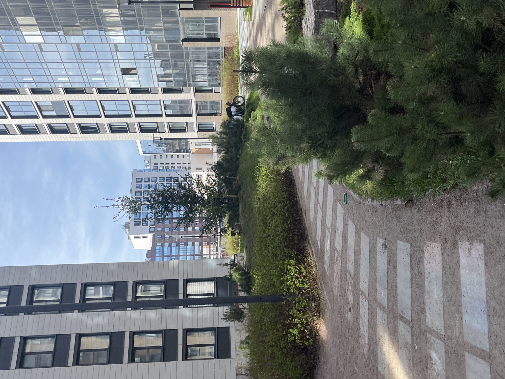 This image captures a modern urban landscape, likely within a residential or business complex in Saint Petersburg, Russia. The scene is dominated by contemporary architecture and carefully maintained green spaces.
In the foreground and to the left, a tall building features a facade with alternating gray panels and dark-framed rectangular windows, reflecting the clear sky. Further back, another large building exhibits a highly reflective glass facade, showing distorted reflections of the sky and surrounding structures. In the distant background, a third building with blue-tinted windows rises against the sky.
A dirt or gravel pathway, interspersed with rectangular light-colored paving slabs forming a checkered pattern, meanders through the scene from the lower right towards the middle ground. Lush green low-lying shrubs and bushes line this path, while several pine trees are visible: one prominently in the foreground on the right, and others scattered in the mid-ground. A black streetlight pole stands near the path on the left.
A bicycle is parked discreetly in the mid-ground, nestled among some shrubs beneath the reflective glass building. The sky is bright and clear with minimal cloud cover, suggesting a pleasant daytime setting. There are no people visible in the image, and no discernible text. The overall impression is one of a serene, well-designed, and orderly urban environment.