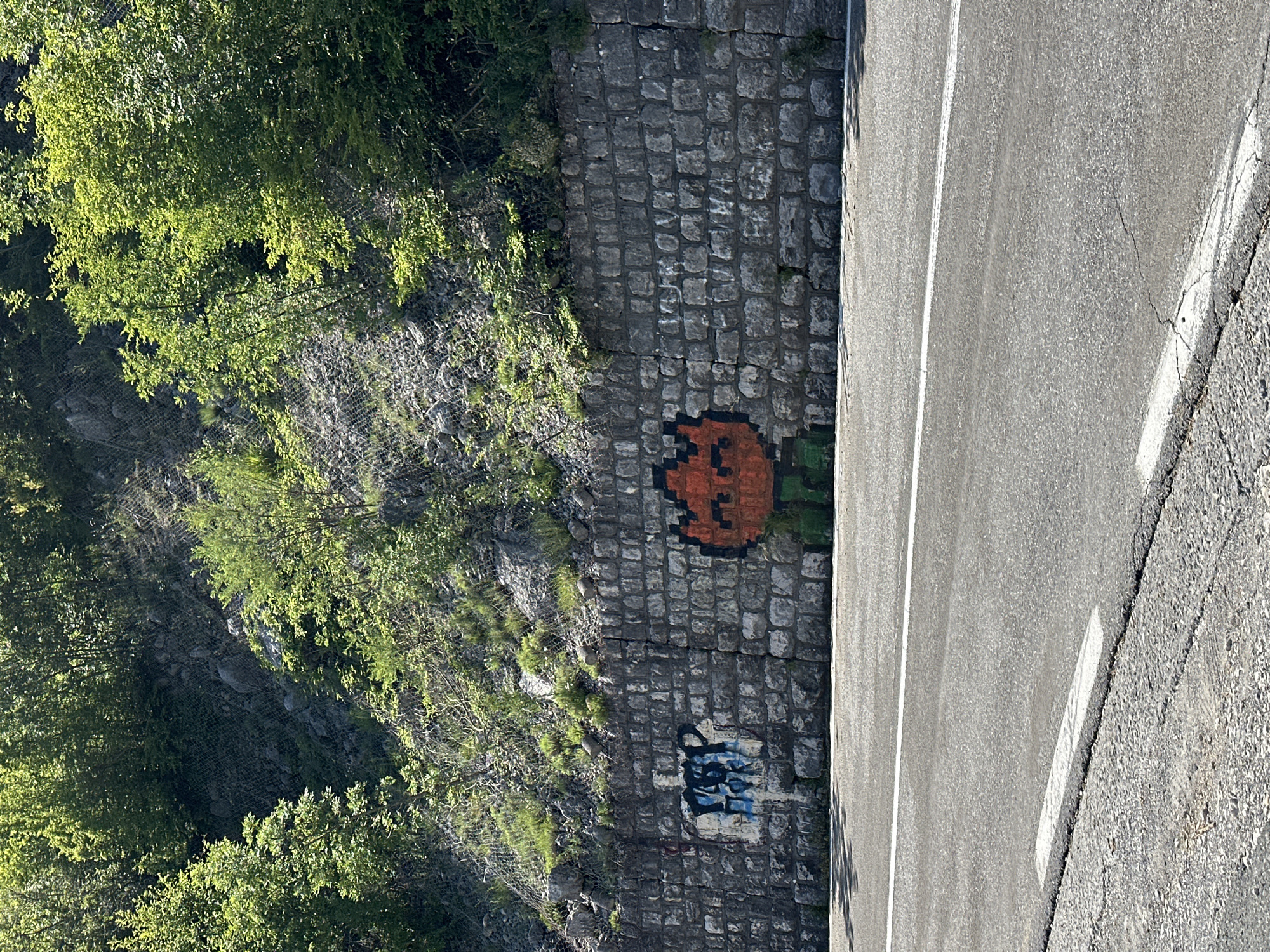 The image depicts a roadside scene in Bukovik, Montenegro. A gray cobblestone wall runs alongside a two-lane asphalt road with a white dividing line. On the wall, there is pixel art resembling a flower, and some graffiti. Vegetation grows on the far side of the wall, including green trees and plants covering the slope. A wire mesh is present on the slope to prevent rockfall.