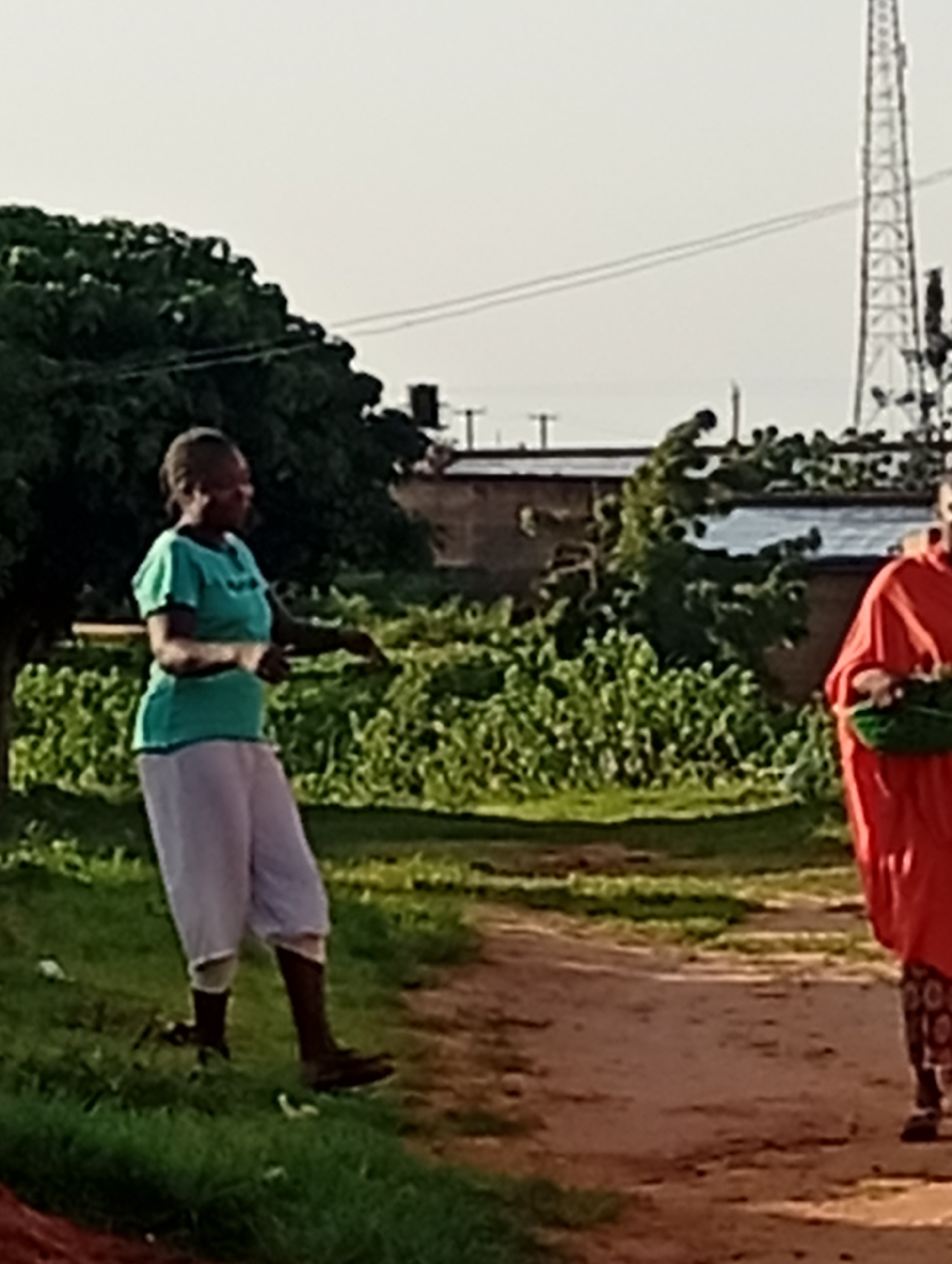In Tumfure, Nigeria, two women are walking on a dirt path. The woman on the left is wearing a teal t-shirt and light-colored pants, holding a basket in her arms. She is also wearing dark-colored shoes and socks. The woman on the right is wearing an orange garment and patterned pants, carrying a green basket in her hands. The background features lush green vegetation, trees, and buildings, with a cell tower visible in the distance. The sky is clear and overcast.