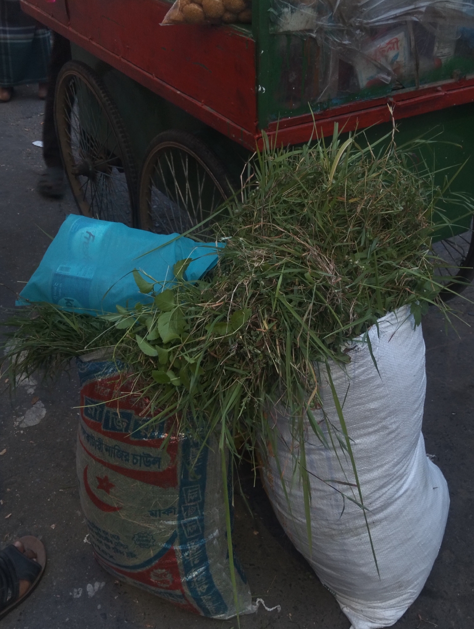 This image captures a street scene featuring a mobile vendor's cart and several bags of green foliage. The cart, painted red and green, is supported by two large spoked wheels on the left and a smaller wheel partially visible on the right. Packaged goods, possibly snacks or other small items, are displayed in clear plastic on the top surface of the cart.
On the ground in front of the cart are two large woven sacks filled with an abundance of green grass and leafy foliage. The sack on the left is patterned with red, blue, and white, featuring a crescent moon and star symbol along with Bengali text. The visible text includes "বাংলাদেশি নাজির শাইল চাল" (Bangladeshi Nazir Shail Rice) and "ঢাকা" (Dhaka), suggesting the bag was originally used for rice from Bangladesh. A bright, translucent blue plastic bag, possibly containing other items, rests on top of this patterned sack, with the letter "F" visible on its surface. The second sack, on the right, is plain white and also overflowing with green vegetation.
The ground appears to be asphalt or concrete. The lower legs and feet of at least one person are visible in the left background and foreground, one foot wearing a dark sandal. The lighting is even, suggesting it is daytime, possibly early morning or late afternoon, without harsh shadows. The overall setting appears to be an urban or semi-urban environment, likely a market street. No specific activity is definitively shown, but the presence of the cart and bags of greens suggests a vendor or seller of animal feed or foliage.