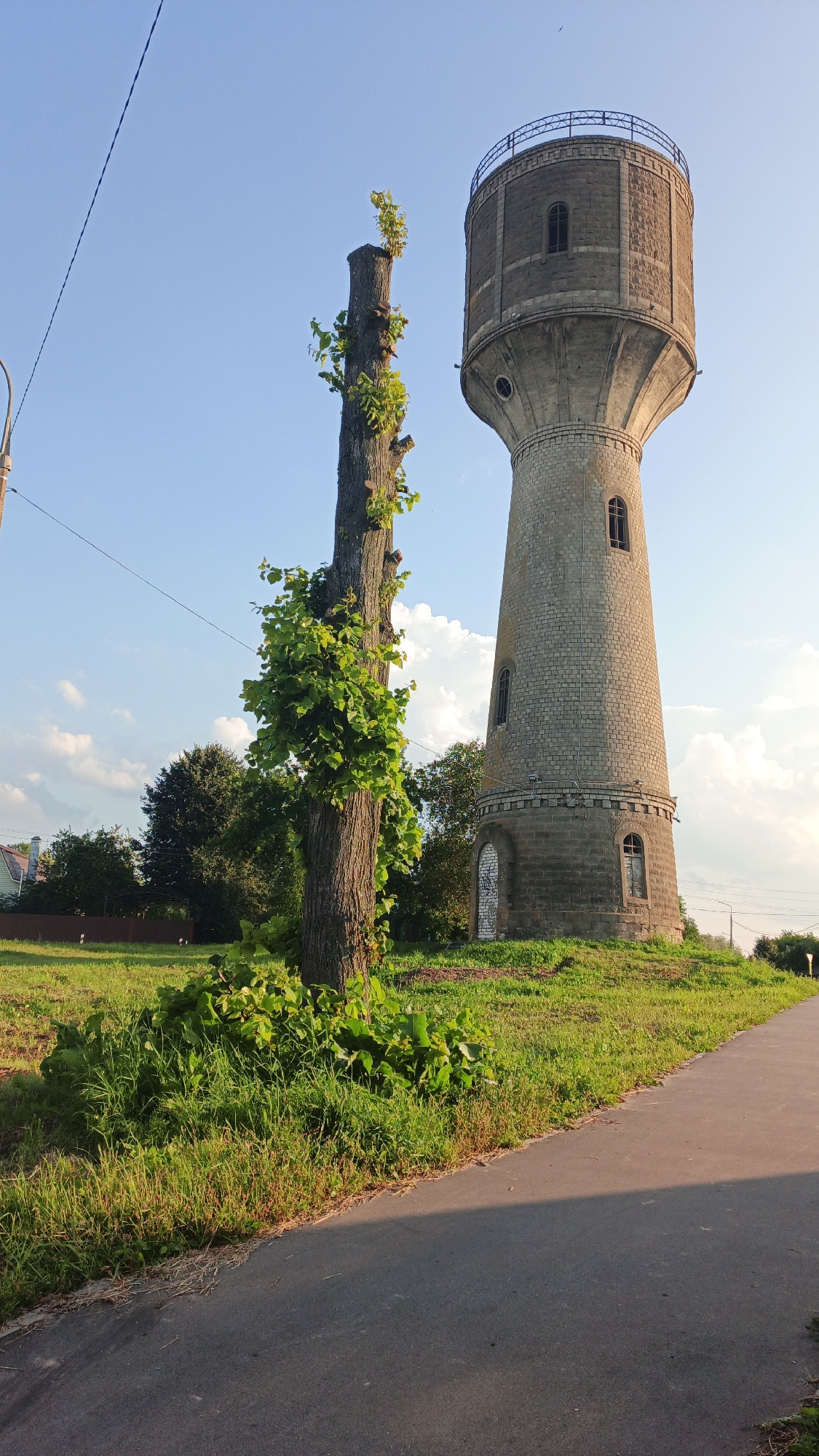 This image depicts a tall, cylindrical, stone water tower located in the city of Drezna, Russia. The tower is grey and constructed from bricks, with arched windows and a decorative railing at the top. To the left of the water tower, there is a tall, dead tree trunk with new green shoots growing from it. The surrounding area is covered in green grass and other vegetation. A paved pathway runs along the right side of the image. In the background, there are trees and some houses. The sky is blue with scattered clouds. There are no people visible in the image.