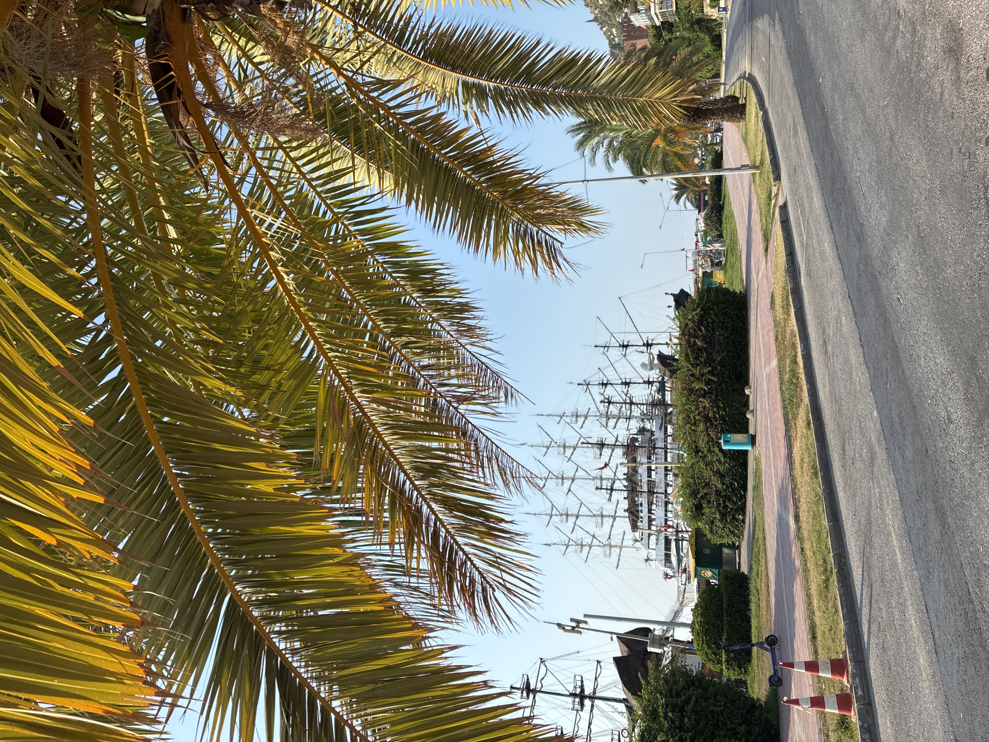 A sunny, outdoor scene in Alanya, Turkey, features a palm tree with yellow-green fronds dominating the foreground, obscuring much of the sky. Beyond the fronds, several large sailing ships with multiple masts are docked in a harbor. The ships appear to be a mix of modern and traditional designs.
In the mid-ground, there is a paved walkway bordered by green bushes and a grassy area. On the walkway, a blue electric scooter is parked. Two orange and white traffic cones are positioned on the edge of the road. A blue trash receptacle is also visible on the walkway.
To the right of the walkway, a paved road curves away into the distance, bordered by more palm trees and some buildings on a hillside. The overall atmosphere is one of a pleasant, sunny day in a coastal city.