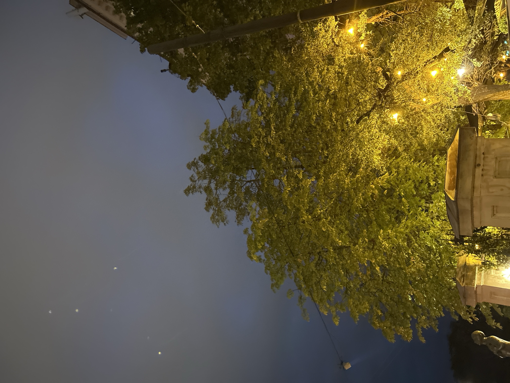 The image depicts an outdoor nighttime scene, possibly in the city of Vilnius, Lithuania. A large tree with bright green foliage is illuminated by warm-toned string lights, creating a festive atmosphere. In the background, a building with a visible roofline and antenna can be seen. To the left, a portion of a statue, possibly a human figure, is visible in the foreground, along with ornate stone pillars that appear to be part of a fence or monument. The sky is dark with some cloud cover and there are several small, bright dots that could be stars, planets or street lights reflected in the lens.