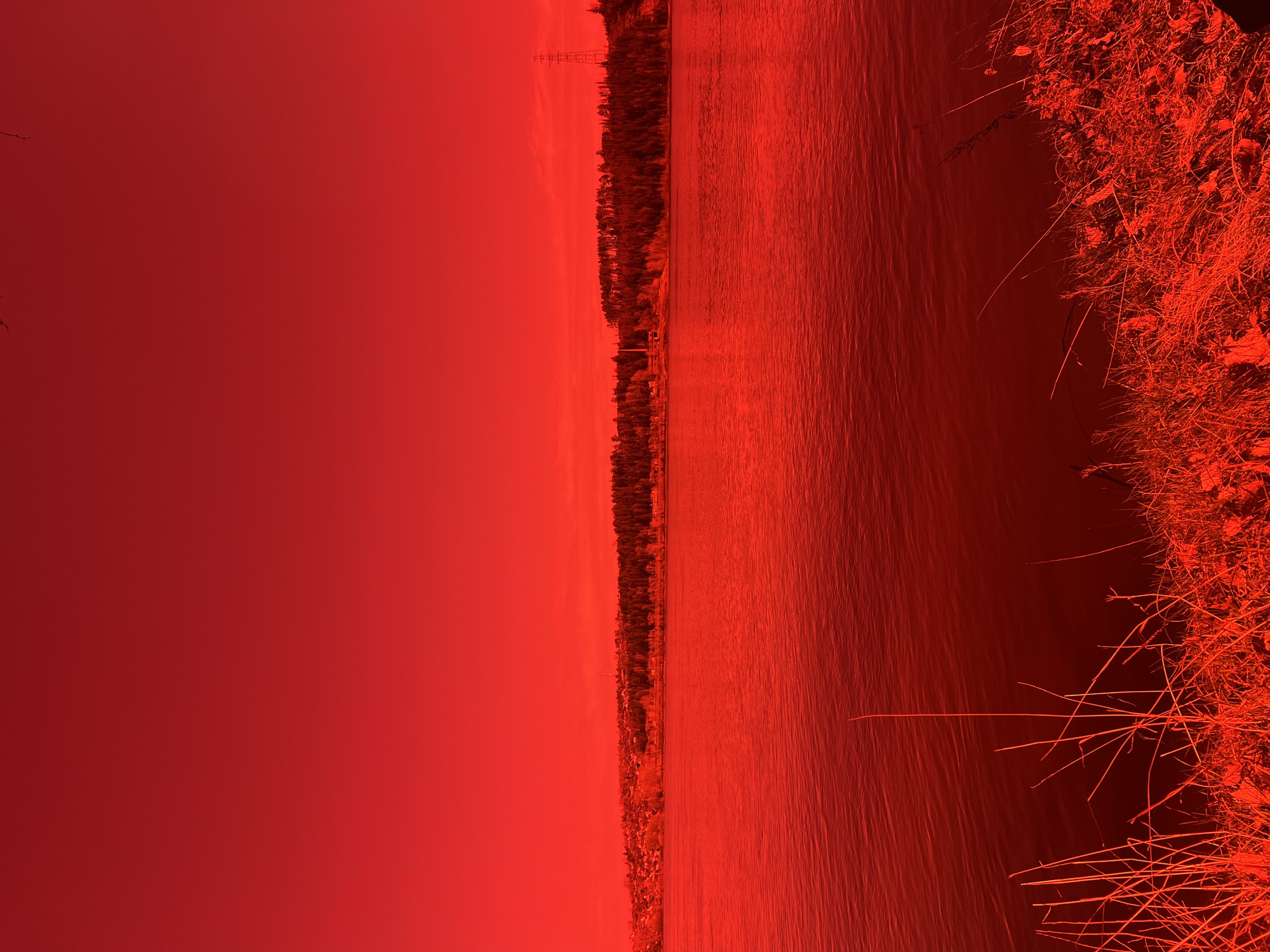 The image depicts a body of water with a treeline on the opposite shore. Tall, sparse vegetation is visible on the right side of the image. There are power lines visible in the distance. The scene appears to be photographed with a red filter or in red light. No people are visible. Based on the prompt, the location is in or near Noviy, Russia.