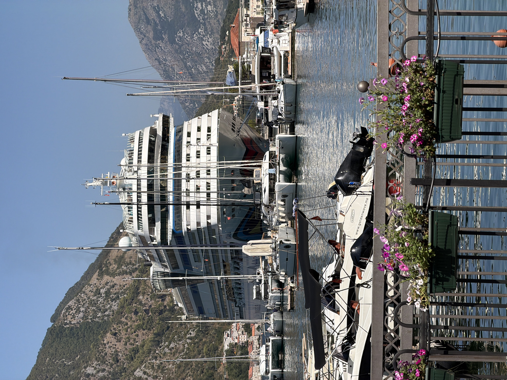 The image depicts a large cruise ship, the AIDAstella, docked in the Bay of Kotor, Montenegro. The ship is positioned centrally in the frame, with its white hull and numerous decks dominating the background. Numerous sailboats and smaller motorboats are moored in the foreground and midground, creating a harbor scene. Behind the ship and boats, a steep, tree-covered mountain rises dramatically, characteristic of the Bay of Kotor's landscape. Buildings with red-tiled roofs, typical of Montenegrin architecture, are visible nestled on the hillsides. In the immediate foreground, a metal railing with attached green planters filled with pink and purple flowers runs across the bottom of the image, obscuring a portion of the boats. The sky is clear and blue, indicating a sunny day. One person is visible on a small dock between two sailboats, and another person is seated in one of the foreground motorboats. The water is calm and reflects the blue sky and the surrounding scenery.