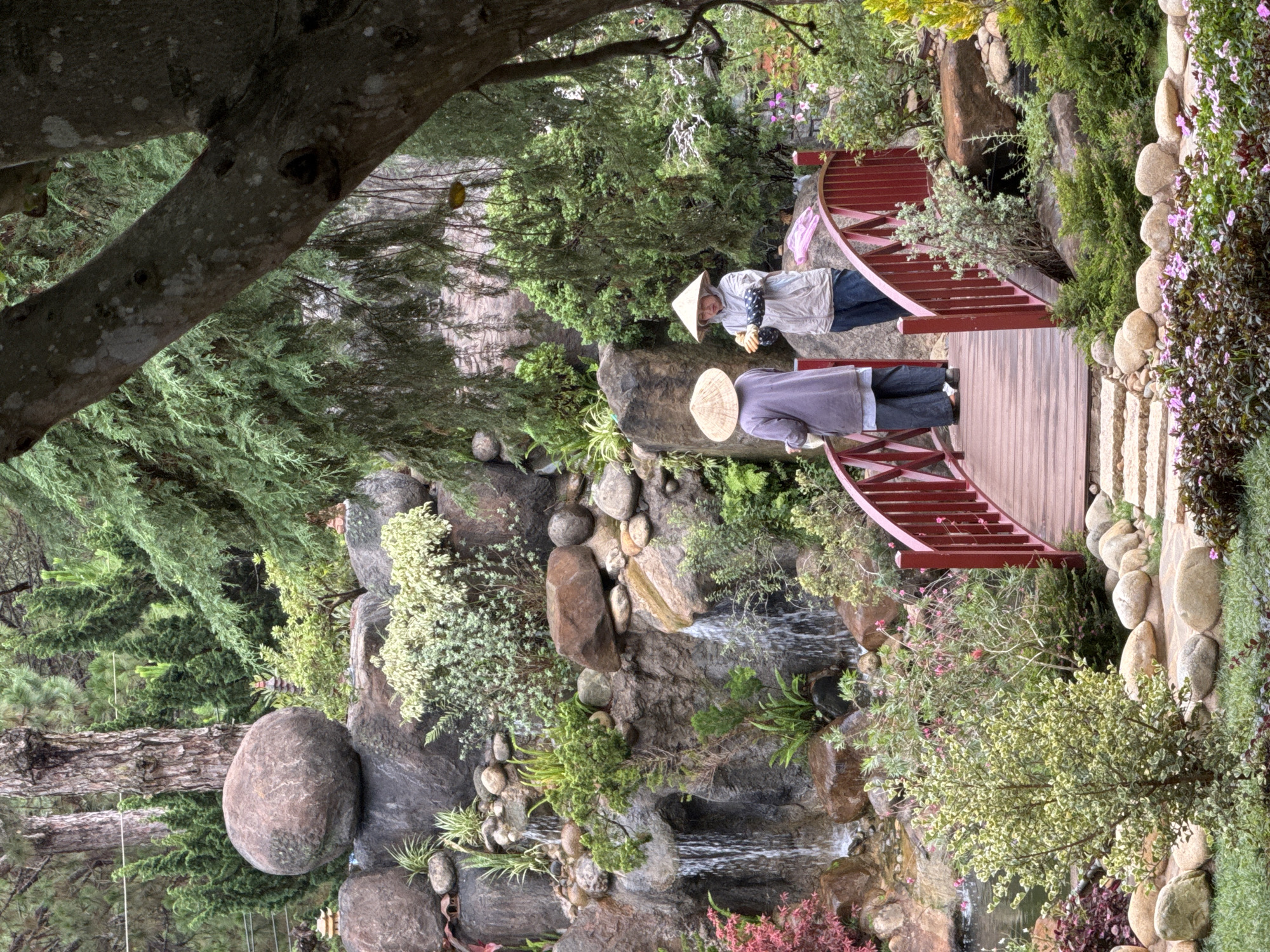 Captured from a high angle, the image shows a section of the landscaped gardens at the Crazy House in Da Lat, Vietnam. Two individuals wearing traditional Vietnamese conical hats traverse a wooden bridge with red railings. The man closer to the camera is wearing a light purple top and dark pants while the woman appears to be wearing a light grey jacket over a darker top and jeans. Beneath the bridge, a constructed waterfall cascades over rocks and lush greenery. Vegetation, including flowering plants, thrives along the edges of the structure, and a large tree trunk dominates the left side of the frame. The lighting is somewhat subdued, casting soft shadows throughout the scene.