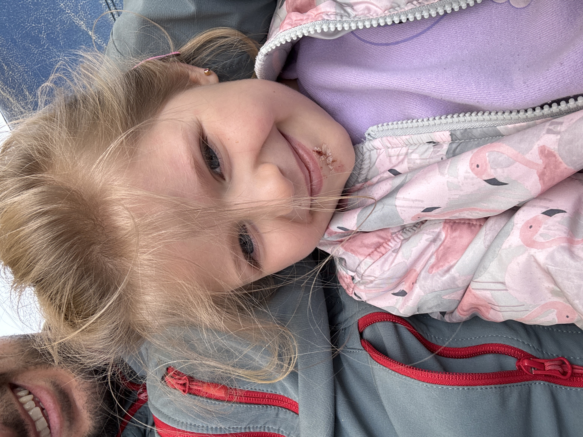 A close-up, high-angle photograph captures a heartwarming moment between a young child and an adult, likely in Varna, Bulgaria. The central subject is a blonde-haired child with blue eyes, lying down with her head tilted and looking directly at the camera with a broad, happy smile. Her blonde hair is softly framing her face, and a small scab or healing injury is visible on her upper lip, to the right side. She is dressed in a light purple top, layered under a grey and pink jacket adorned with a distinctive flamingo pattern, featuring a prominent white zipper. A small gold stud earring can be seen in her right ear, and a pink hair tie is wrapped around strands of her hair near her ear.
In the lower-left corner of the frame, the lower portion of an adult's face is visible, featuring a beard and a wide, cheerful smile, indicating shared joy and interaction with the child. The adult is wearing a grey jacket with bright red zippers and stitching details. The background primarily shows a soft light blue surface, possibly upholstery from a car seat or a bench. The overall scene conveys a feeling of affection and happiness between the subjects. No text is visible in the image.