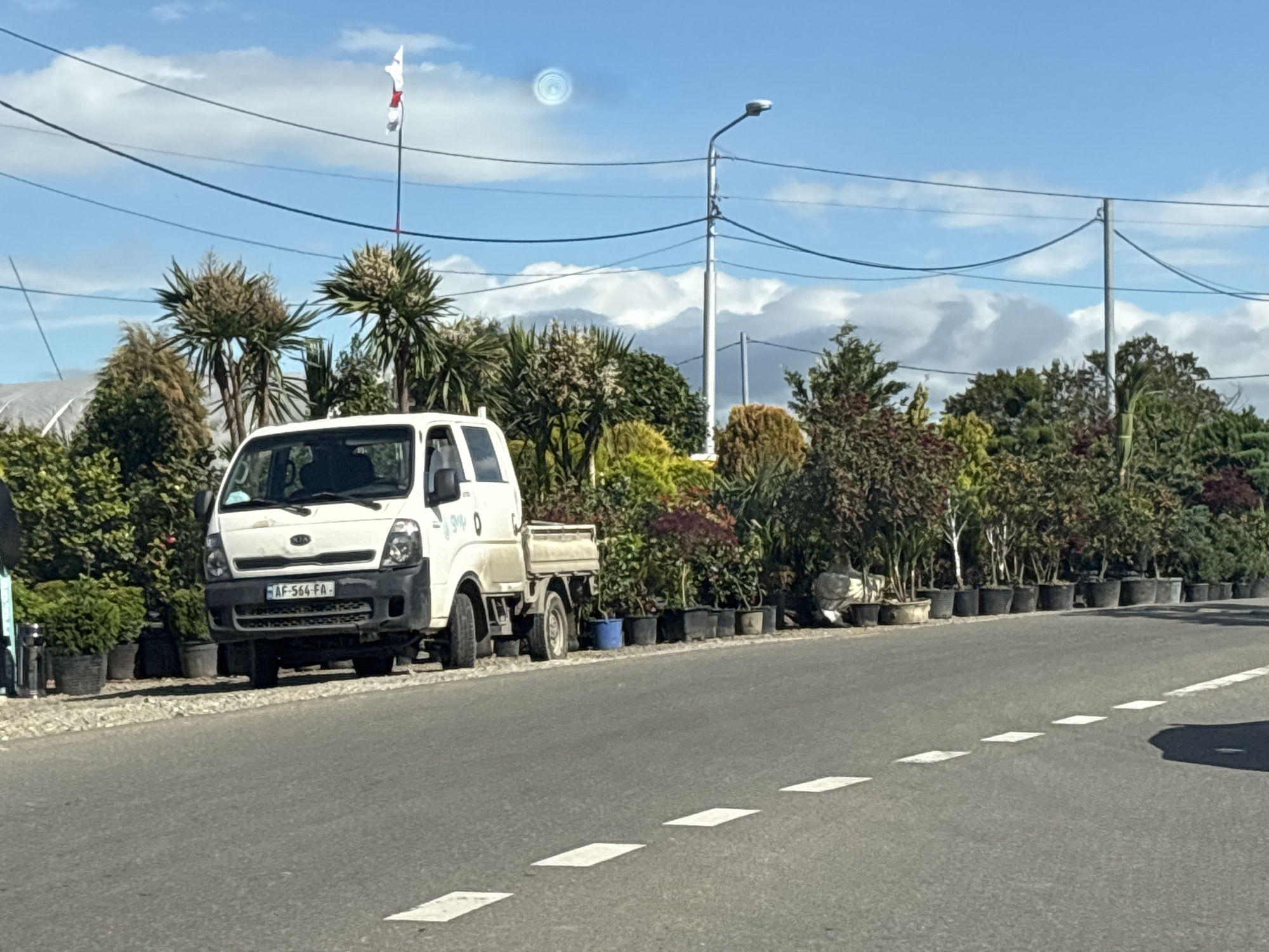 The scene is an outdoor shot of a roadside view in Tbilisi, Georgia. A white Kia Bongo truck is parked on the side of the road, parallel to a line of potted plants and trees. These plants form a lush green border along the roadside, suggesting a nursery or plant vendor's display. The road has a dashed white line marking the edge of the lane. In the background, there are various trees, bushes, and a tall pole with a white flag. Power lines stretch across the sky above the trees and a street light is visible in the distance. The sky is blue with scattered white clouds. The license plate of the Kia Bongo reads "AF-564-FA".