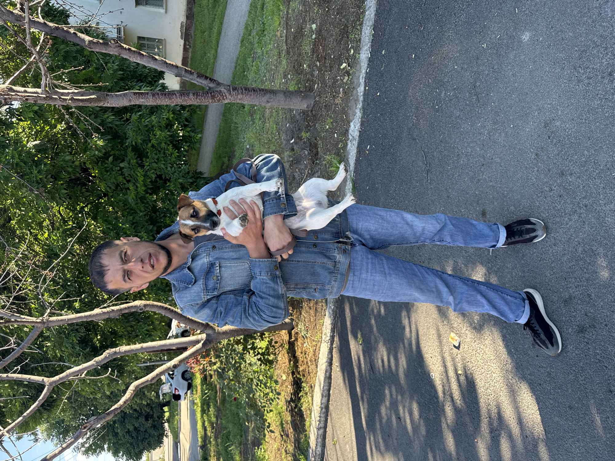 A man wearing a denim jacket and jeans is holding a dog in his arms while standing outdoors. The location appears to be an urban environment, with a paved road, trees, and a building visible in the background.