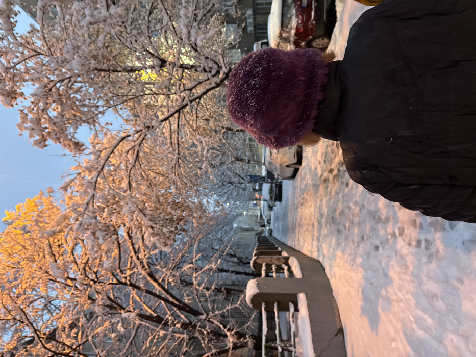 The image depicts a snowy street scene in Belgrade, Serbia, during a blue hour or night, illuminated by artificial light sources. A person, viewed from behind, occupies the foreground, wearing a dark, possibly padded jacket and a prominent purple, fuzzy winter hat lightly dusted with snow.
The individual is positioned on a snow-covered sidewalk that stretches into the midground. To the left, a low concrete wall or fence, also topped with snow, runs parallel to the sidewalk. Numerous footprints are discernible in the fresh snow covering the sidewalk. To the right, a street lined with parked cars is visible; the vehicles are blanketed in snow.
Dominating the scene are deciduous trees, their bare branches heavily laden with fresh white snow, creating a thick, white canopy. These trees line both sides of the street. An orange-yellow light, likely from streetlights or nearby building illumination, casts a warm glow upon the snow-covered branches of the trees, contrasting with the cooler blue sky above. Distant lights are visible down the street. Buildings, partially obscured by the trees, line the street in the background. Snowflakes are visible in the air, particularly against the illuminated areas.