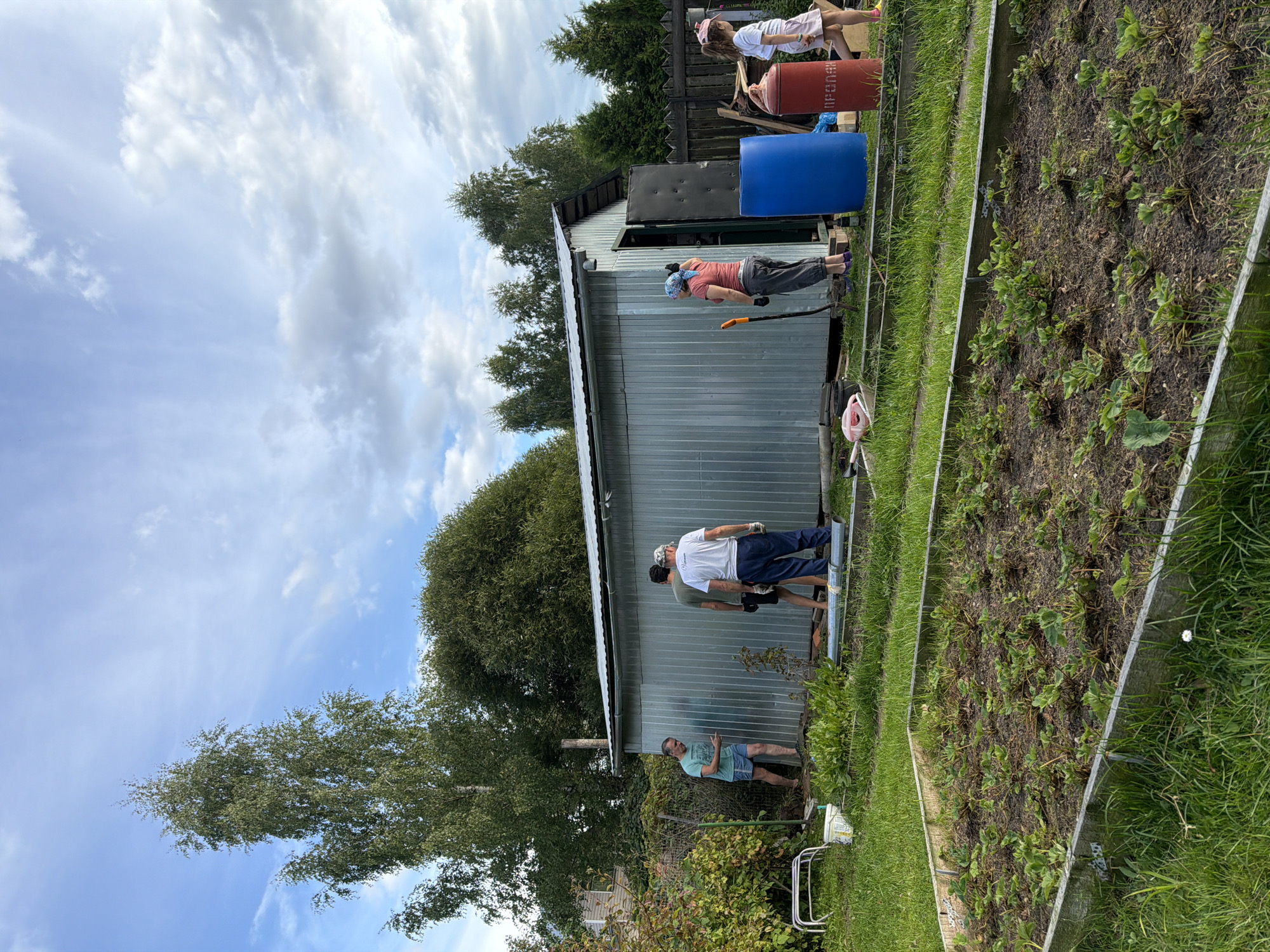 In Nizinka SNT, Russia, a group of people are working outside a corrugated metal shed on a cloudy day. The shed has a closed, dark door on the right side, and a blue barrel and a red propane tank are placed near its entrance. A woman in a pink headscarf and grey pants is standing to the right of the shed, holding a shovel. A young girl in a pink hat and skirt walks away from the shed towards the right. Two men are seen on the left side of the shed, one in a blue t-shirt and shorts, the other in a green t-shirt and black shorts. A third man, wearing a white t-shirt and blue pants, stands with his back to the camera on the right side of the shed. In the foreground, a raised garden bed is filled with young plants, likely strawberries, surrounded by green grass. Trees and bushes are visible in the background, and a white metal structure is near the left edge of the image.