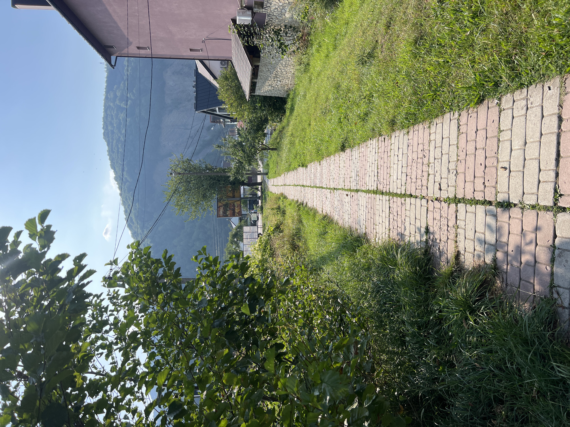 A brick pathway made of red and gray rectangular stones runs through a grassy area, bordered by lush green trees and foliage on the left and a pink building and a stone wall on the right. In the background, houses with dark roofs and a tall tree are visible, with a lush green mountain range under a clear blue sky. The scene is located in Yaremche, Ukraine.
