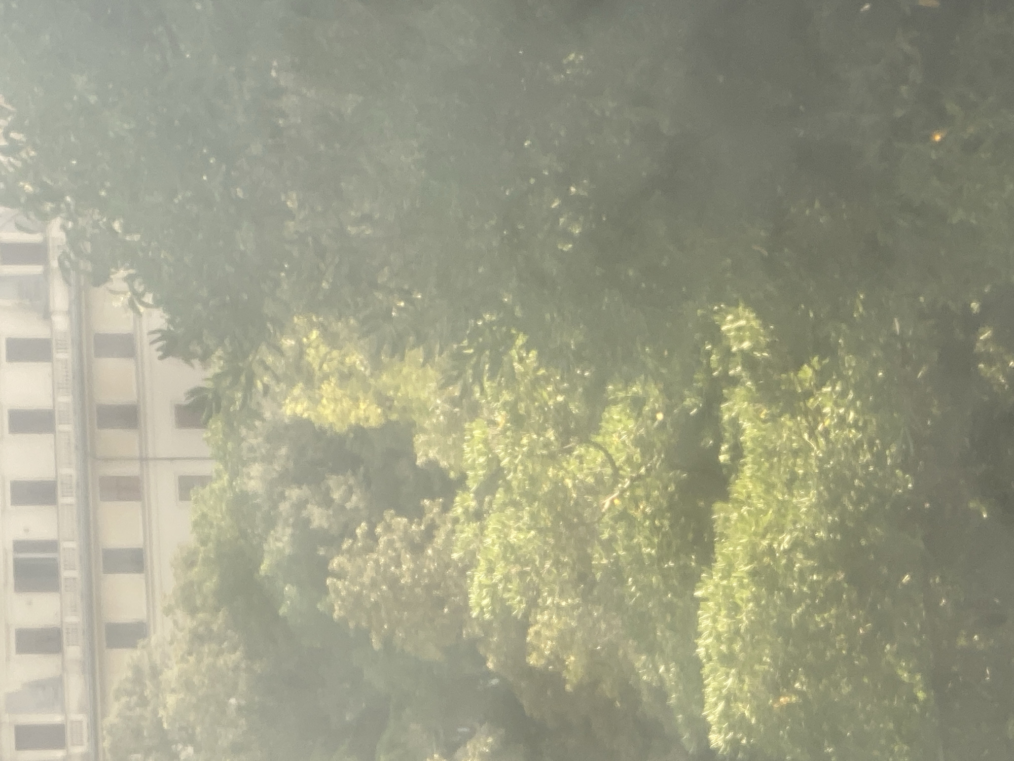 The image shows a hazy view of a building and trees. The building appears to be several stories tall with multiple windows. The trees are lush and green, with sunlight filtering through their leaves. The overall impression is that of a warm, sunny day. The scene is likely captured from a distance, as the details are somewhat blurred. It is not possible to determine the specific location within Genoa, Italy based solely on this image.