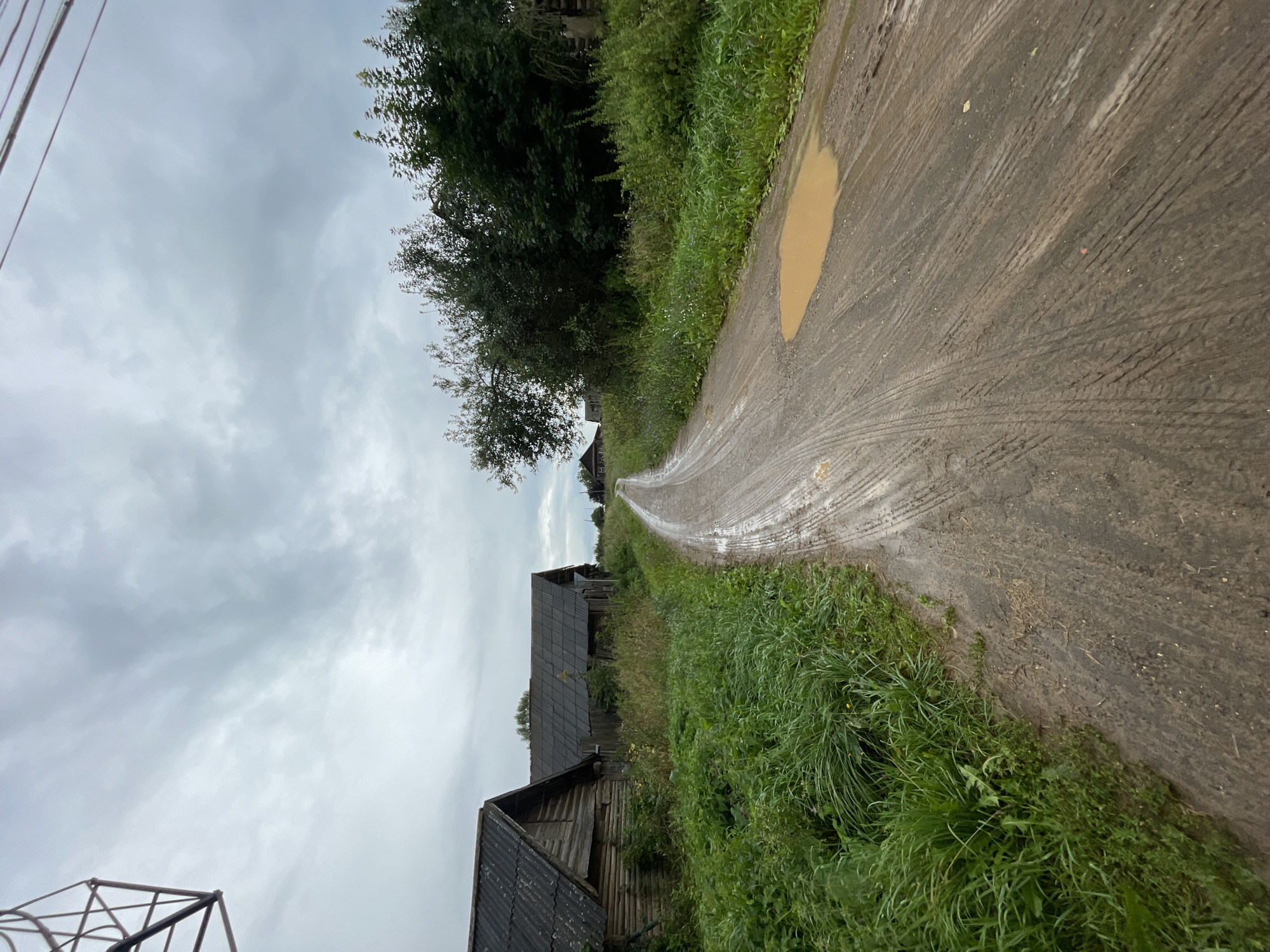 A muddy dirt road winds through a village scene in Panteleevka, Russia. The road is wet, with visible tire tracks and a large puddle on the right side. Flanking the road are lush green grasses and vegetation. On the left, two weathered wooden houses with dark, corrugated roofs stand close together. Further down the road, more houses and dense green trees are visible under a cloudy, overcast sky. The overall impression is one of a rural, slightly neglected environment.