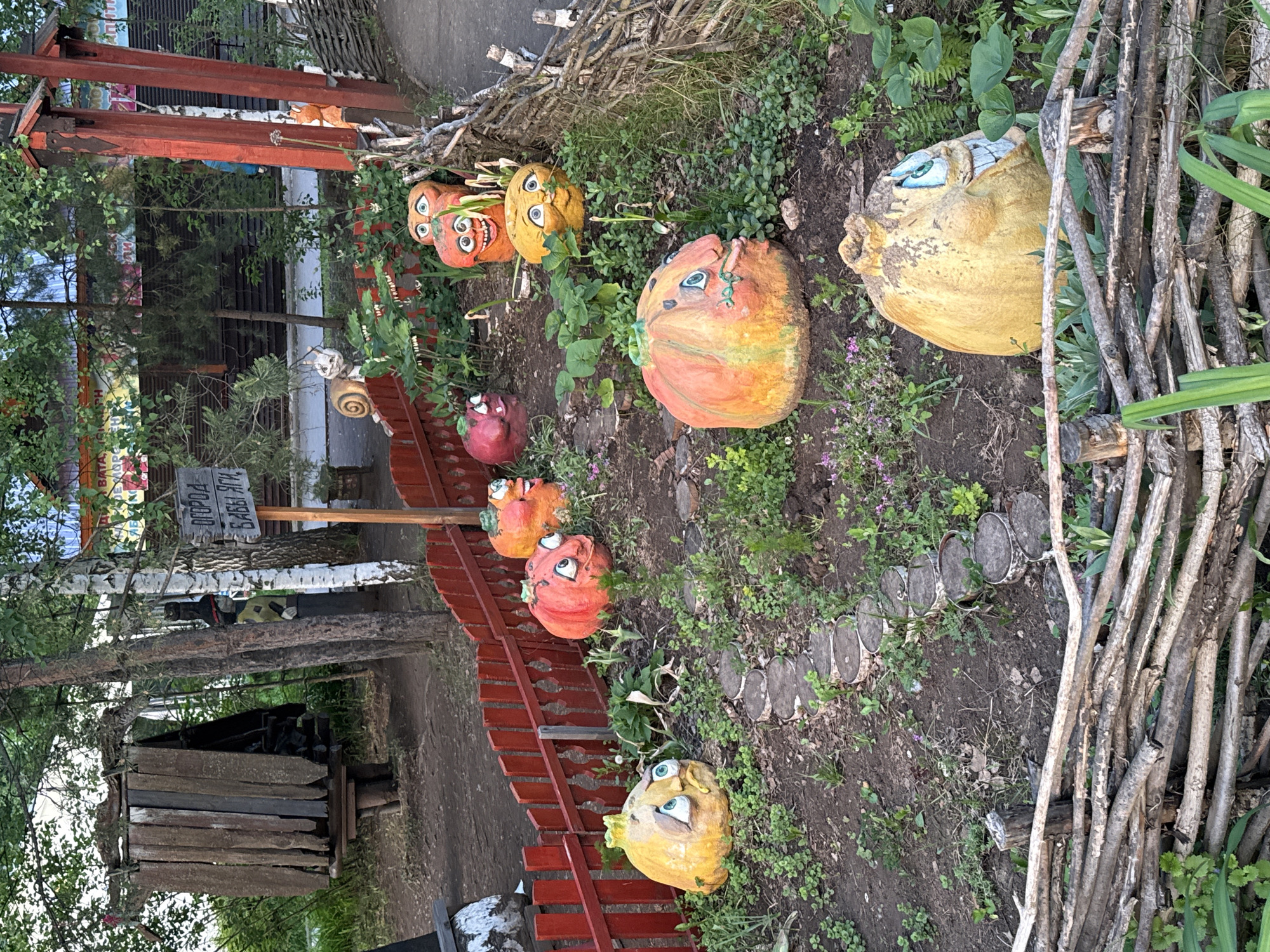 The image shows a garden display in the city of Chaikovsky, Russia. It features several painted pumpkin-like objects with cartoonish faces arranged along a garden path. The path is bordered by a red wooden fence on one side and a fence made of sticks on the other. The pumpkins are positioned amongst greenery and some small purple flowers. The ground is covered with soil and small weeds. In the background, there are trees, a wooden structure, and a sign in Cyrillic script. The scene appears to be part of a park or garden setting.