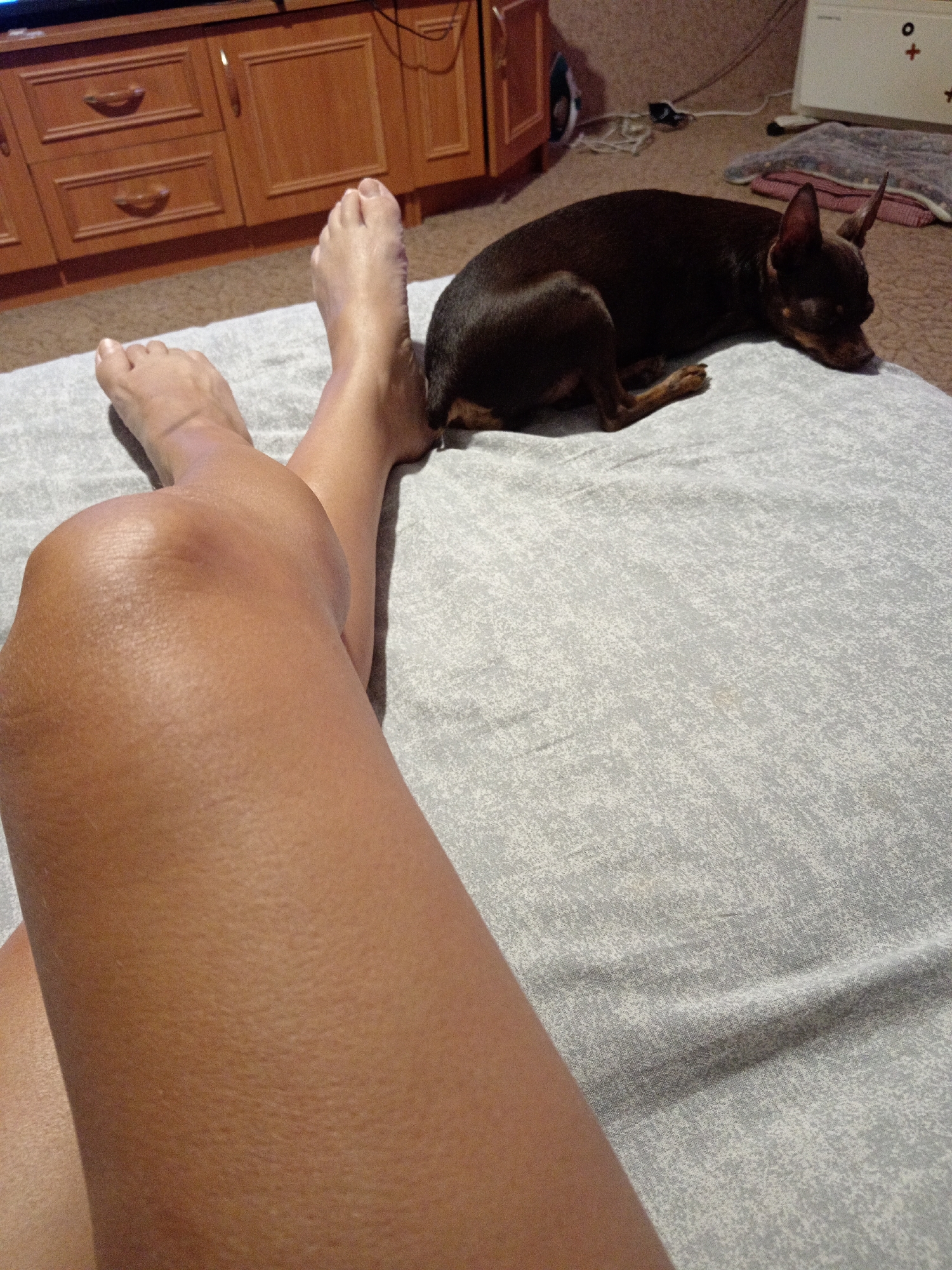 The image shows a close-up view of a person's legs and feet resting on a grey patterned surface, likely a bed or sofa. A small brown dog is lying on the same surface to the right of the legs. In the background, a wooden cabinet with drawers is visible. The lighting suggests an indoor setting, possibly a home in Novopokrovka, Russia. The scene appears to be one of relaxation, with the person and dog resting comfortably.
