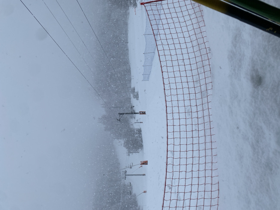 The scene depicts a snow-covered winter landscape in La Salle-les-Alpes, France, during active heavy snowfall. The sky is uniformly overcast, contributing to low visibility. In the immediate foreground, a red square-mesh safety net extends horizontally, partially submerged in a thick layer of snow. To the right of the foreground net, two vertical poles, one yellow and one green, are partially visible, likely supporting the net.
Beyond the foreground net, a wide expanse of untouched deep snow covers the terrain, which gently slopes downwards towards the center-right before ascending into the background. Multiple ski lift towers are visible. On the left side of the frame, two prominent ski lift towers with attached chairs rise from the snow. Further back and slightly to the right, another ski lift tower is present, along with connecting cables stretching across the upper half of the image.
Interspersed throughout the snowfield, particularly near the bases of the ski lift towers, are several cylindrical orange objects, possibly markers or protective barriers. In the midground, to the right, a second, lighter-colored mesh fence, resembling a narrower safety net, runs horizontally across the snow. The background is dominated by a dense, snow-laden forest of coniferous trees, which merges with the hazy sky due to the ongoing snowfall. No individuals or active equipment are discernible in the scene.