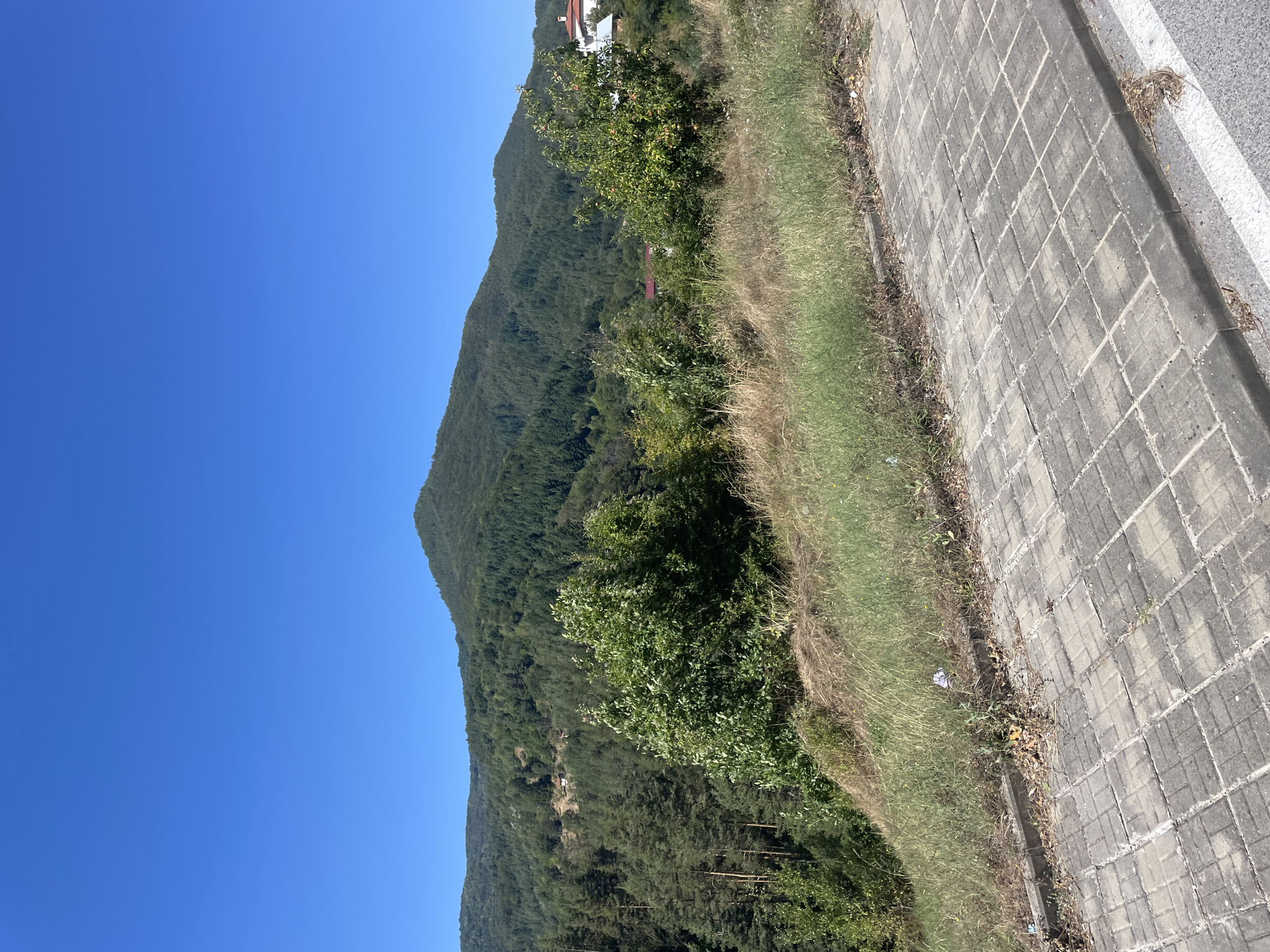 This is a photograph of a mountainous landscape with a clear blue sky. In the foreground, there is a paved pathway made of gray concrete bricks. The pathway is bordered by a grassy slope with dry, yellowed grass and some green vegetation. A few fallen leaves and some small pieces of litter are visible on the grass and along the edge of the pathway.
In the middle ground, the slope transitions into a dense forest of green trees, primarily coniferous and deciduous. The forest covers the sides of rolling hills.
In the background, a large, tree-covered mountain dominates the scene. The summit of the mountain is rounded. Scattered amongst the trees on the hillsides, particularly on the right side of the image, are a few houses with red tile roofs. The houses appear to be residential.
The location is identified as the city of Banite, Bulgaria. The scene is natural and appears to be a view from a road or trail overlooking a rural mountainous area. There are no people or animals visible in the image. The lighting suggests it is daytime, likely late morning or afternoon, due to the bright sunlight and clear shadows.