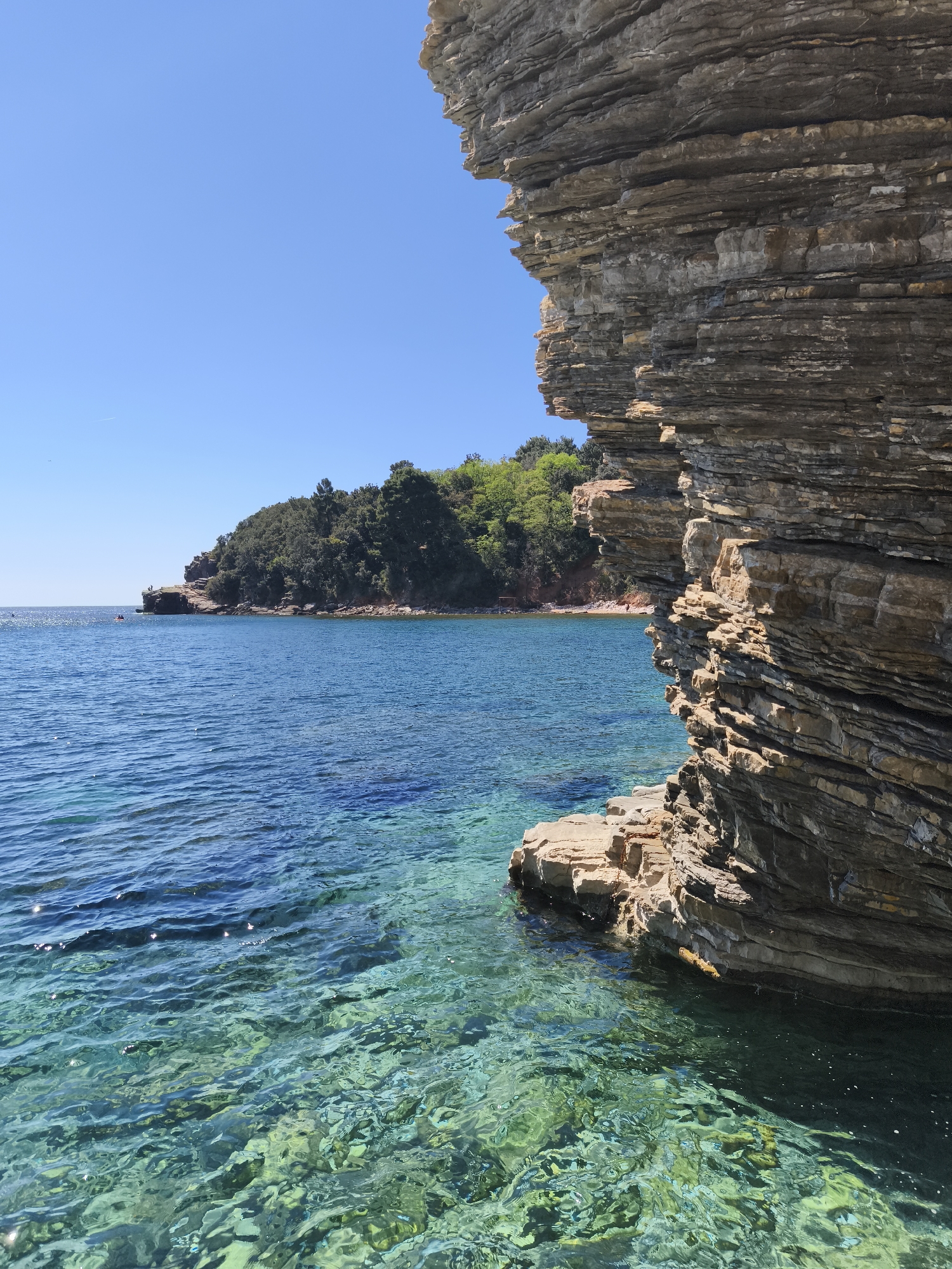 The image shows a coastal scene in Budva, Montenegro. In the foreground, there is a layered, rocky cliff face that extends into the frame from the right. Below the cliff face, the clear turquoise water of the Adriatic Sea is visible, with glimpses of the seabed and underwater rocks. In the middle ground, across the water, there's a small, wooded peninsula covered in green vegetation. A few people are visible on the rocky beach area of the peninsula. The sky is clear and blue.