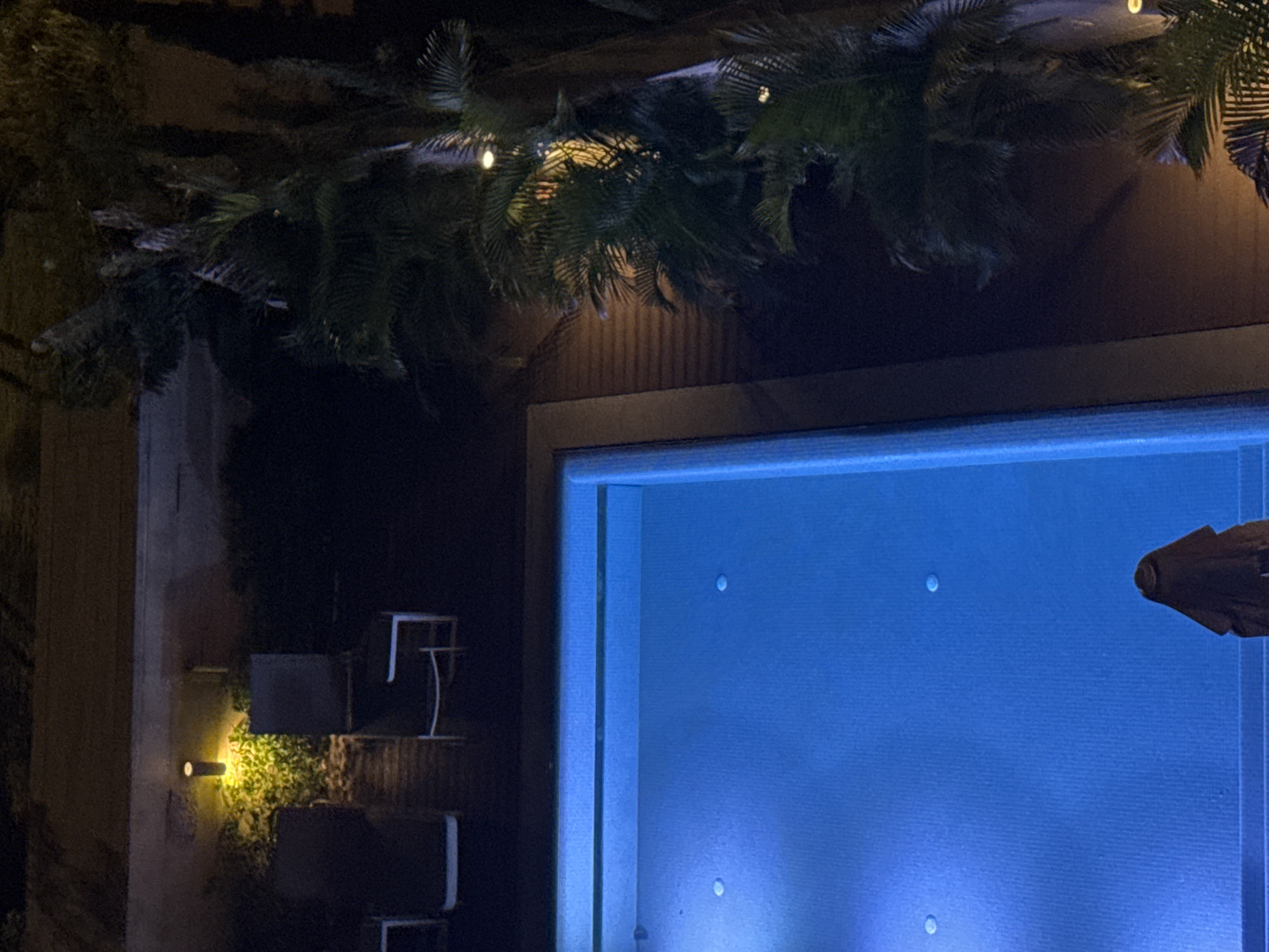A nighttime view shows a dimly lit pool area, possibly in Tel Aviv, Israel. The pool is illuminated with blue light, and a decorative element, possibly wooden, floats at the edge. Overhead, a garland of foliage with small, warm-toned lights hangs. To the left, a patio or seating area is suggested by dark shapes and a wall-mounted light illuminating some greenery. The overall environment is dark, with a focus on the glowing pool and patio details.