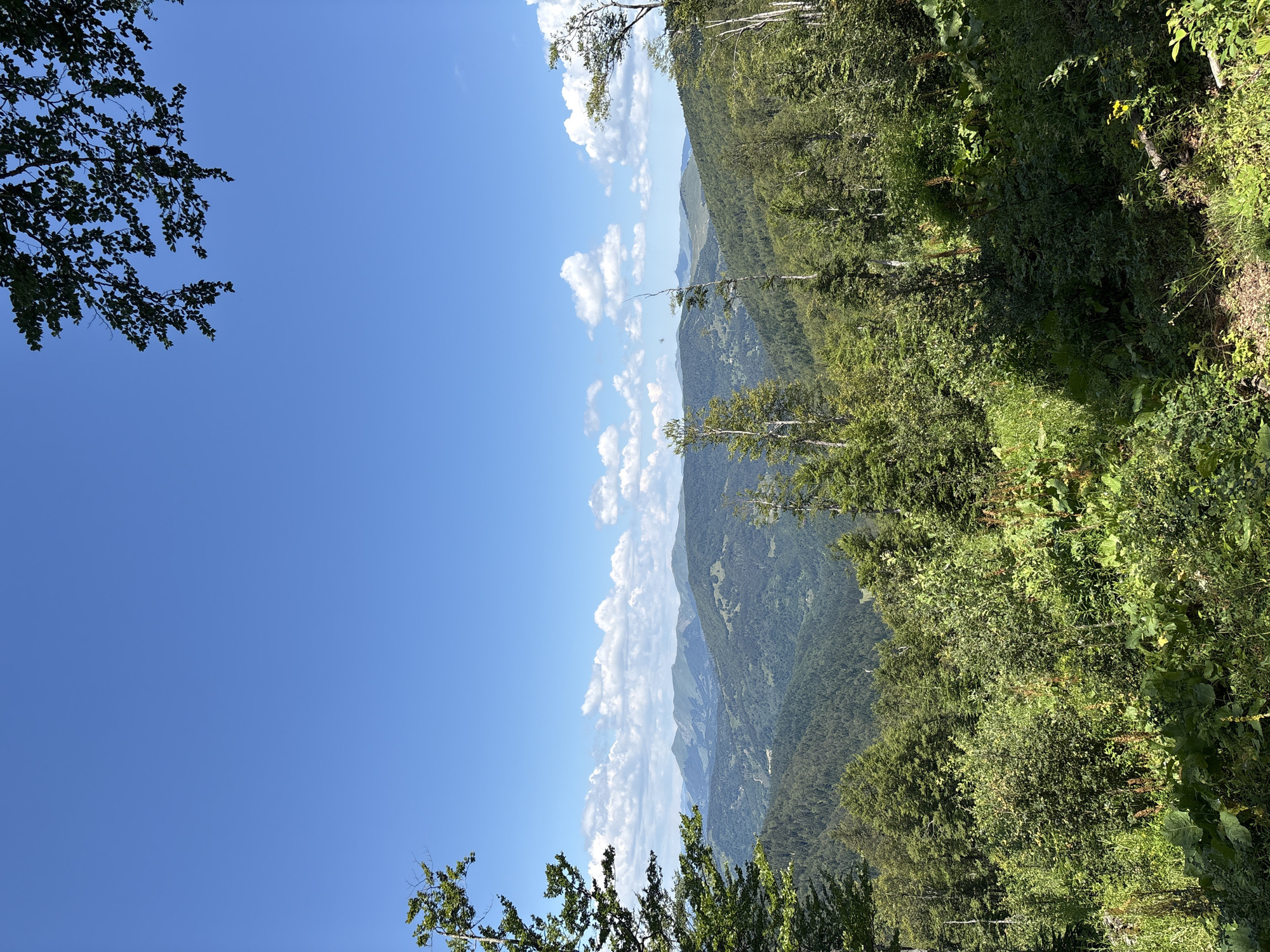 The image is a landscape photograph taken on a clear day in the vicinity of Katun Vulića, Montenegro. The scene depicts a vast expanse of rolling, tree-covered mountains stretching into the distance under a bright blue sky dotted with white cumulus clouds. In the foreground, lush green vegetation and trees frame the view. The overall impression is one of natural beauty and tranquility. There are no people or man-made structures visible in the image.
