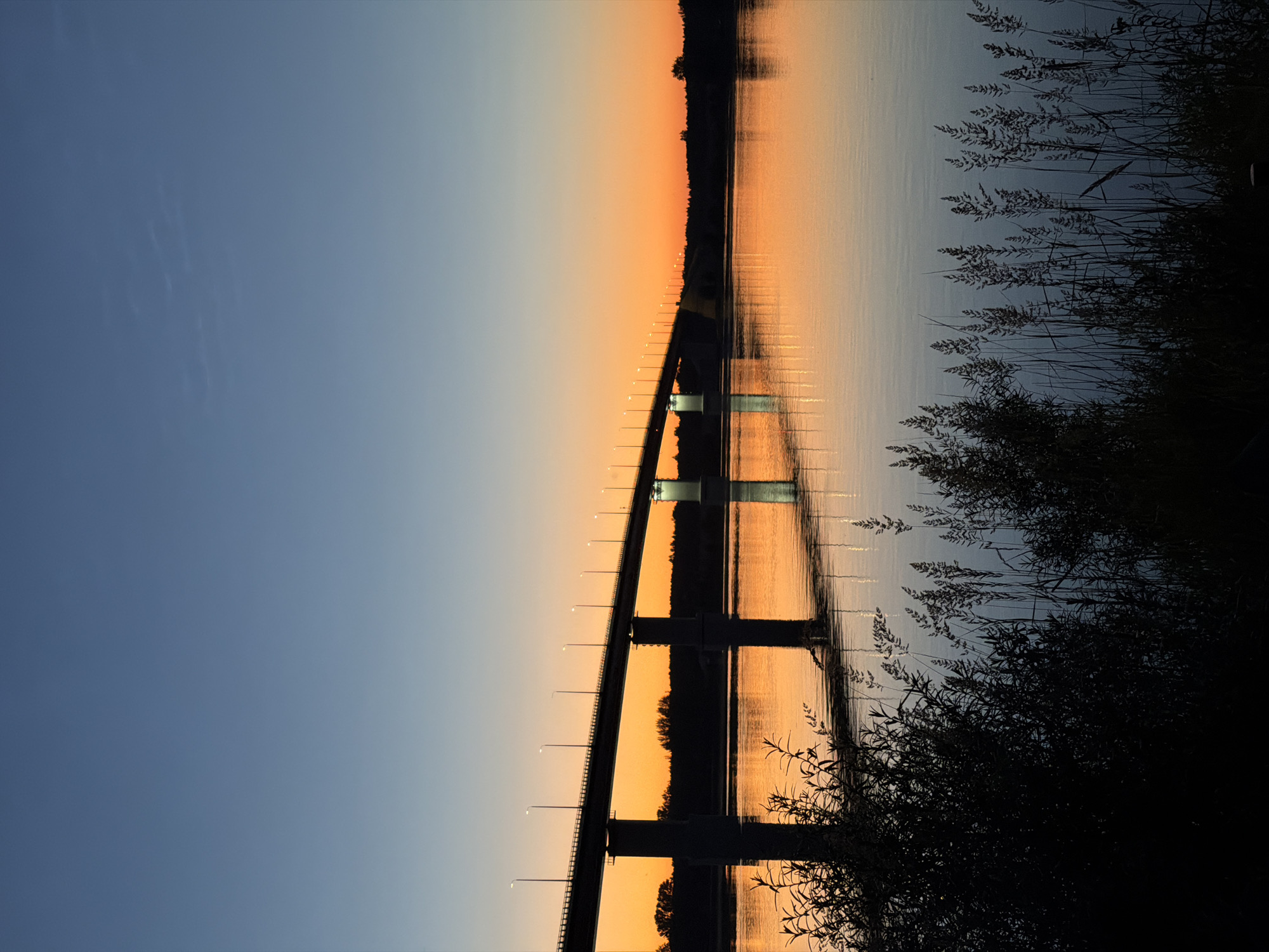 The image depicts a sunset over a wide river in Tarasovo, Russia, with a long bridge crossing the water. The sky transitions from a clear, light blue at the top to a vibrant orange and yellow gradient near the horizon, indicating the sun is setting. The bridge, supported by several large concrete pillars, spans the river from left to right, with streetlights lining its top, casting reflections on the water's surface. The river itself is calm, reflecting the colors of the sunset and the bridge lights. In the foreground, silhouetted against the brighter background, are dark bushes and tall grasses on the riverbank, adding depth and texture to the scene. The overall atmosphere is serene and tranquil.