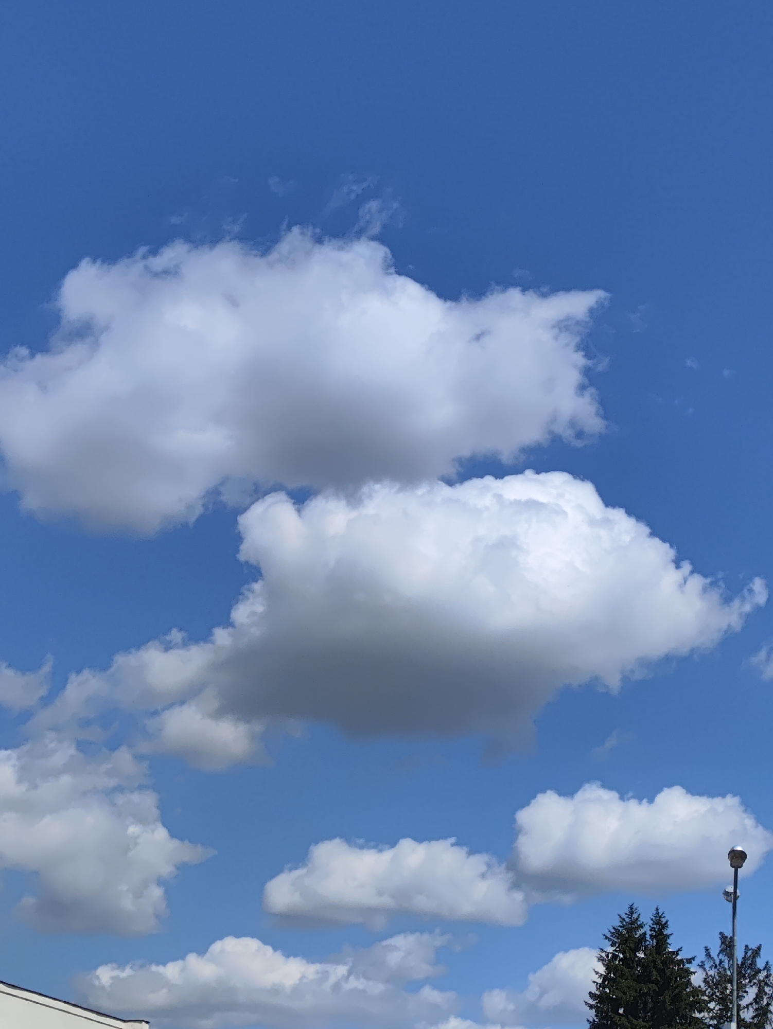 The image shows a bright, partly cloudy sky with fluffy white and gray clouds against a clear blue sky. In the lower right portion of the image, the top of a dark green coniferous tree is visible, along with a street lamp. The lower left corner shows the edge of a white building with a dark roofline. The scene appears to be an outdoor environment, possibly a park or residential area, under daylight conditions. There are no people or animals visible in the image. The scene is consistent with an outdoor setting in Kharkiv, Ukraine, given the presence of common urban elements like buildings and streetlights alongside natural elements like trees and sky.