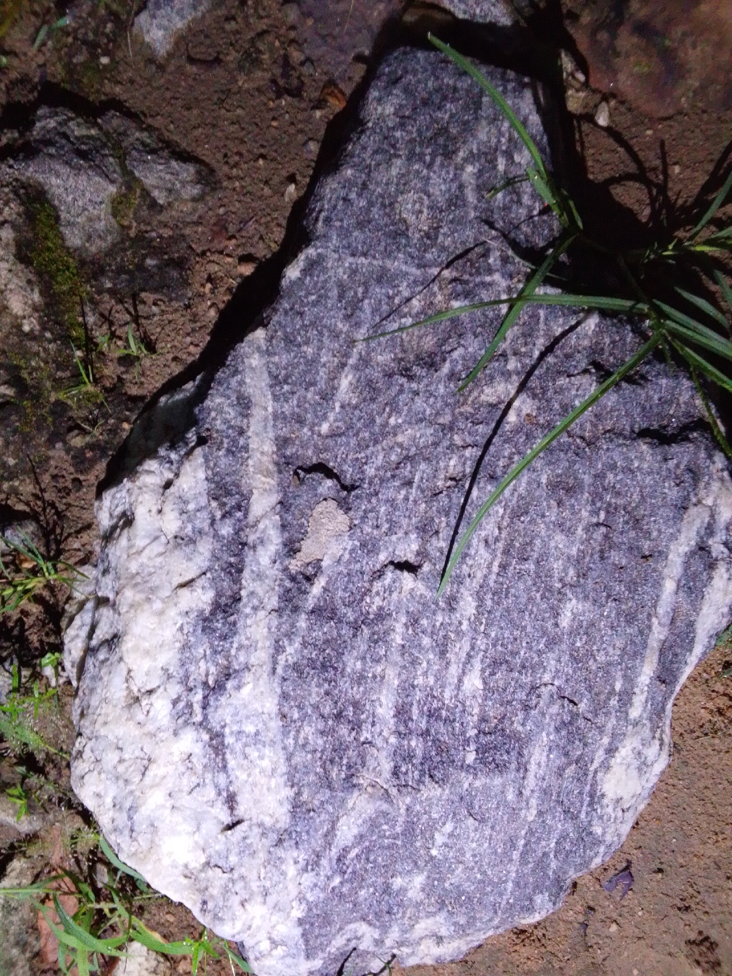 An image shows a large, irregularly shaped rock with distinct bands of dark purple and white minerals. The rock is lying on the ground, which appears to be a mixture of dirt and small pebbles. Some blades of green grass are visible growing around the rock, and in the background, there are other rocks and shadowy areas. The lighting suggests it is nighttime or a very dark environment. There are no people or discernible structures of the city of Serti, Nigeria visible in the image.