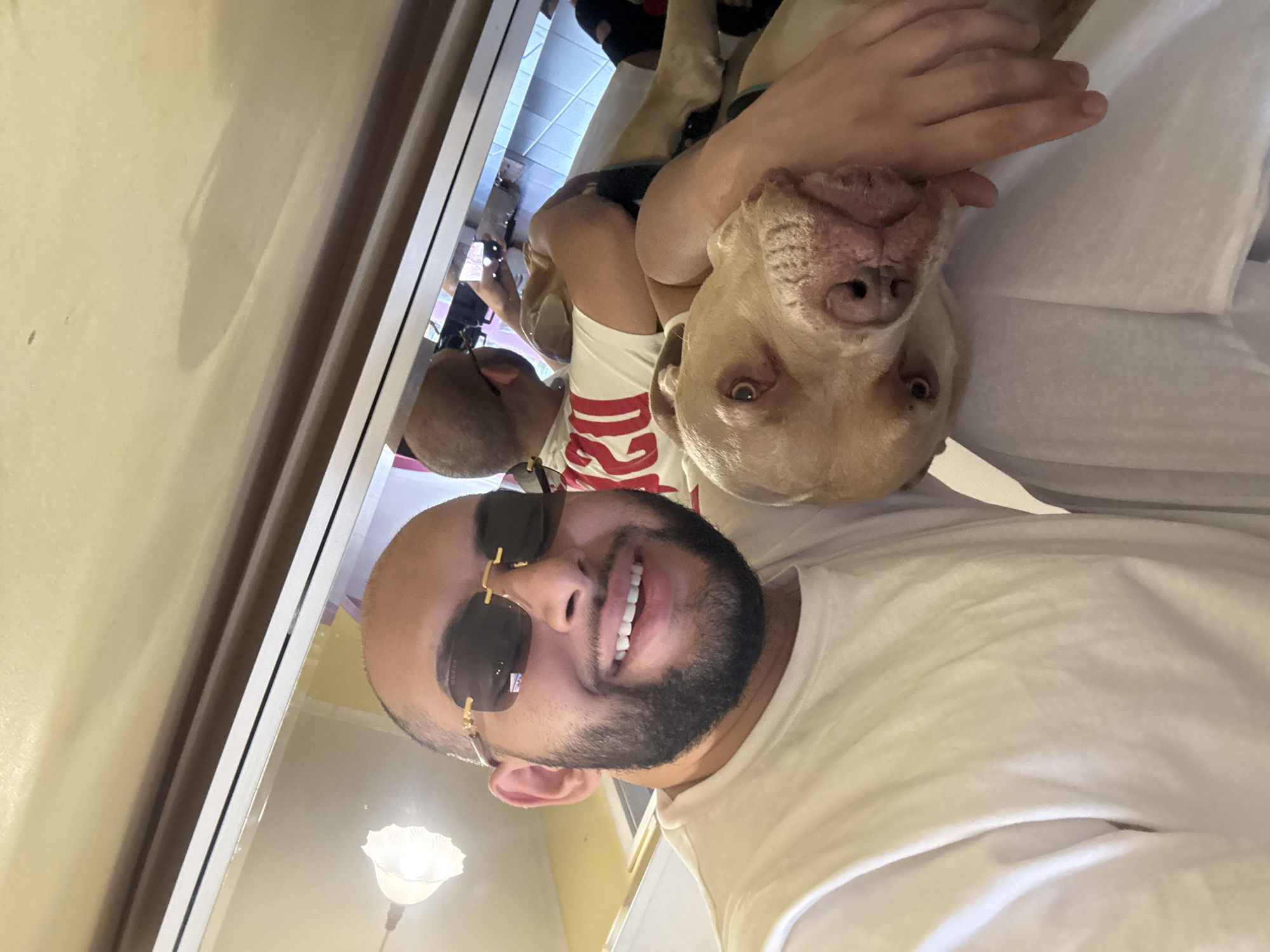 An indoor scene in Sofia, Bulgaria, features a male individual and a dog in a close-up selfie, with a mirror reflection of the scene visible on the right.
The male individual is positioned in the upper portion of the frame, with his head tilted approximately 90 degrees to the left (from the viewer's perspective), causing his face to be oriented towards the top-right. He has a dark, short beard, short dark hair, and is wearing black rectangular sunglasses with gold-colored frames, featuring "Gucci" branding on the temple arm. He is smiling, revealing white teeth. He wears a plain white short-sleeved t-shirt. His left arm is wrapped around a dog.
The dog, a large breed with light tan fur, is held by the individual in the lower-left portion of the frame. Its head and upper body are prominent. The dog has dark eyes, a dark nose, and its snout area appears somewhat pinkish. It looks directly forward with a neutral expression.
On the right side of the image, a vertical mirror reflects a broader view of the scene. In the reflection, the male individual is seen standing upright, wearing a white t-shirt with a red design (possibly letters or a logo, appearing reversed) on the chest. He is holding a device, presumably a phone, with his left hand, suggesting he is taking the selfie. His head is shaved/bald on top, and he wears glasses. A portion of the dog's light-colored back is also visible in the reflection. The reflected environment shows a light-colored ceiling with a decorative white, fluted, bell-shaped ceiling light fixture emitting light. The walls are a solid yellow-beige color. The floor in the reflection is tiled with a light and dark pattern, possibly checkerboard. A white doorframe or mirror frame runs vertically along the right edge of the main image. The direct background behind the mirror also consists of a yellow-beige wall.