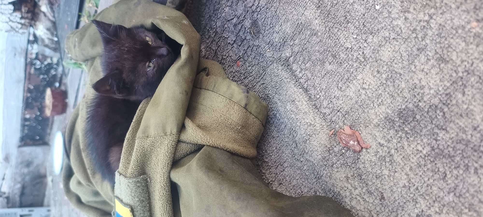 A black kitten is nestled in the folds of a green garment, possibly a jacket or blanket, with a Ukrainian flag patch visible on the left side. The kitten appears to be young and is looking towards the right side of the frame with its eyes slightly open. The garment is draped over a textured, grey surface that resembles pavement or a rough mat. In the lower left quadrant of the image, a small, pinkish, somewhat flattened object, possibly a piece of dried food or debris, is visible on the grey surface. The background is blurred and shows a hint of a building or structure with some scattered items. The overall impression is one of a domestic scene, possibly outdoors.