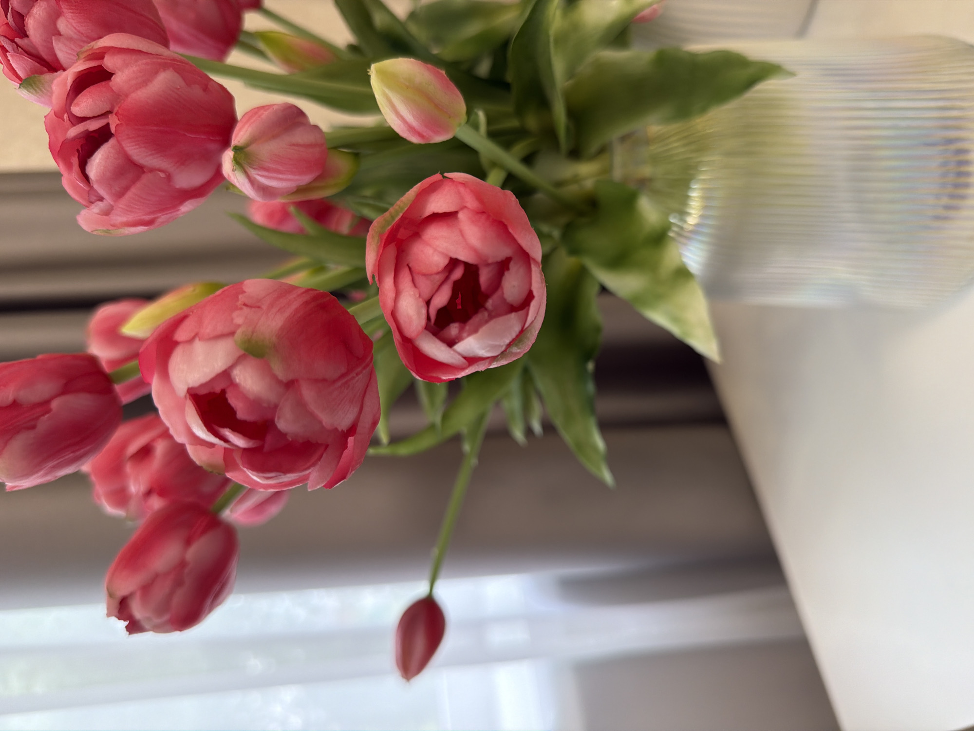 A bouquet of pink double tulips is displayed in a fluted, iridescent glass vase on a white surface. The tulips are in various stages of bloom, with some fully open and others still in bud. Lush green leaves surround the flowers. In the background, a sheer, off-white curtain is visible, with soft light filtering through. The scene suggests an indoor setting, possibly a home or a studio. The location is unknown.