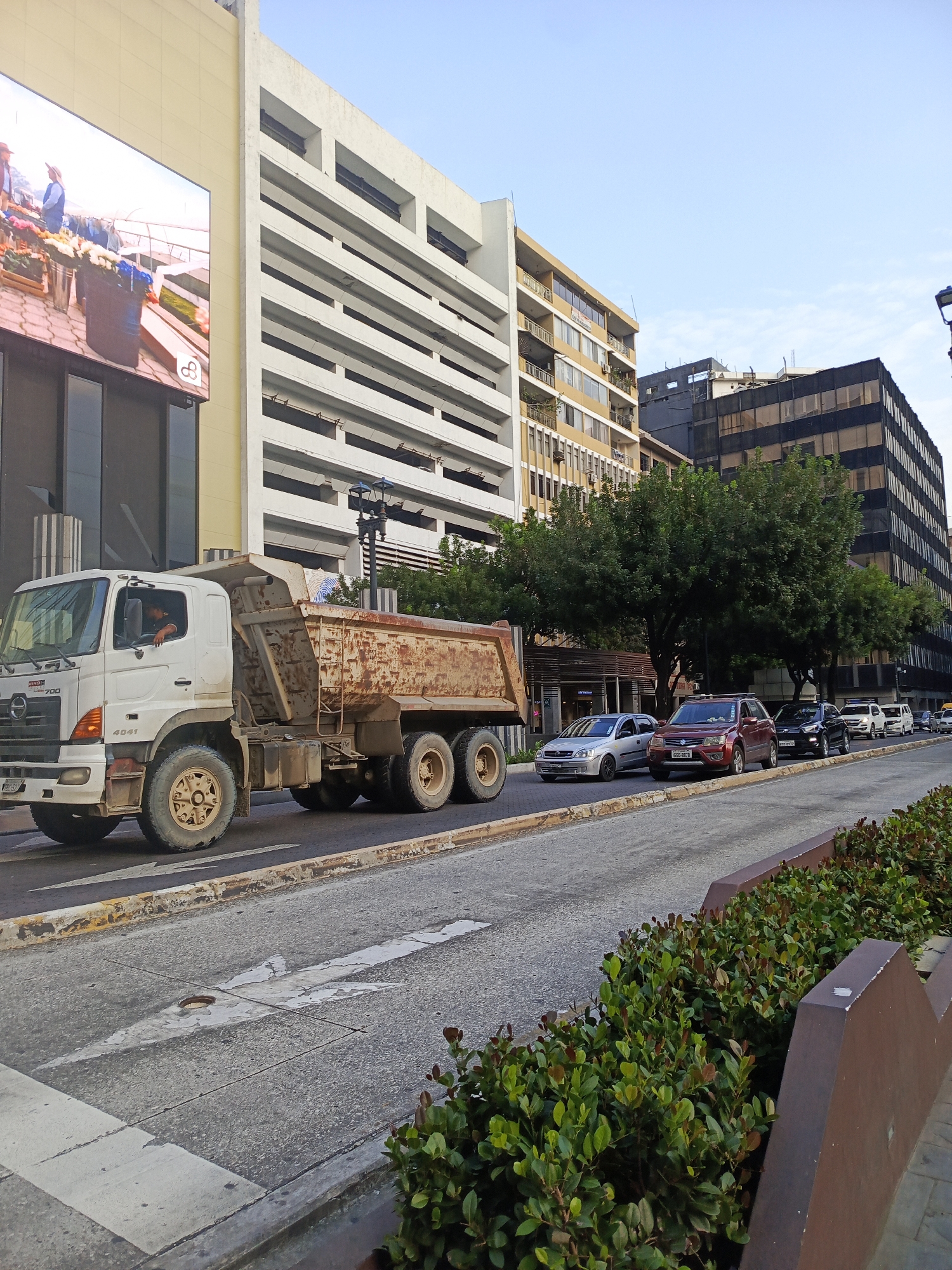 A white dump truck is driving on a street in Guayaquil, Ecuador, with buildings and trees in the background. The truck has a rusted dump bed and is partially filled with dirt. The driver is visible in the cab, resting his arm on the open window. Other cars are parked or driving on the street. A large digital billboard is on the side of a building to the left of the truck, displaying an image of people at a market. The street appears to be paved, with lane markings and a curb. Lush green bushes are planted in a planter along the right side of the road. The sky is clear and blue.
