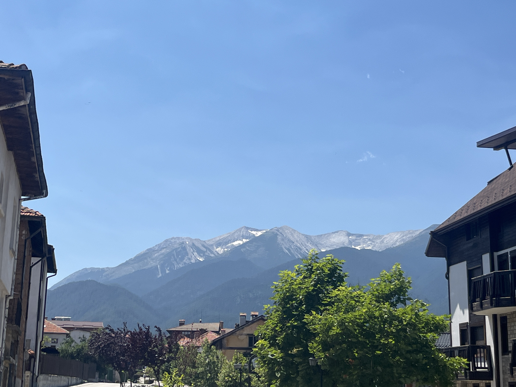The image depicts a view of the Pirin Mountains from a street in Bansko, Bulgaria. In the foreground, buildings with traditional Balkan architecture are visible, some with dark wooden accents and balconies, and others with red-tiled roofs. Lush green trees, including one prominent, leafy tree on the right, and darker, purplish trees on the left, partially obscure the view of the town. The middle ground features more buildings with chimneys. Dominating the background are the majestic Pirin Mountains, their rugged slopes covered in dark green forests and their peaks showing patches of snow under a clear, bright blue sky. A faint airplane contrail is visible in the sky. The scene is captured on a sunny day, with shadows indicating the time is likely midday or early afternoon. No people are visible in the frame.
