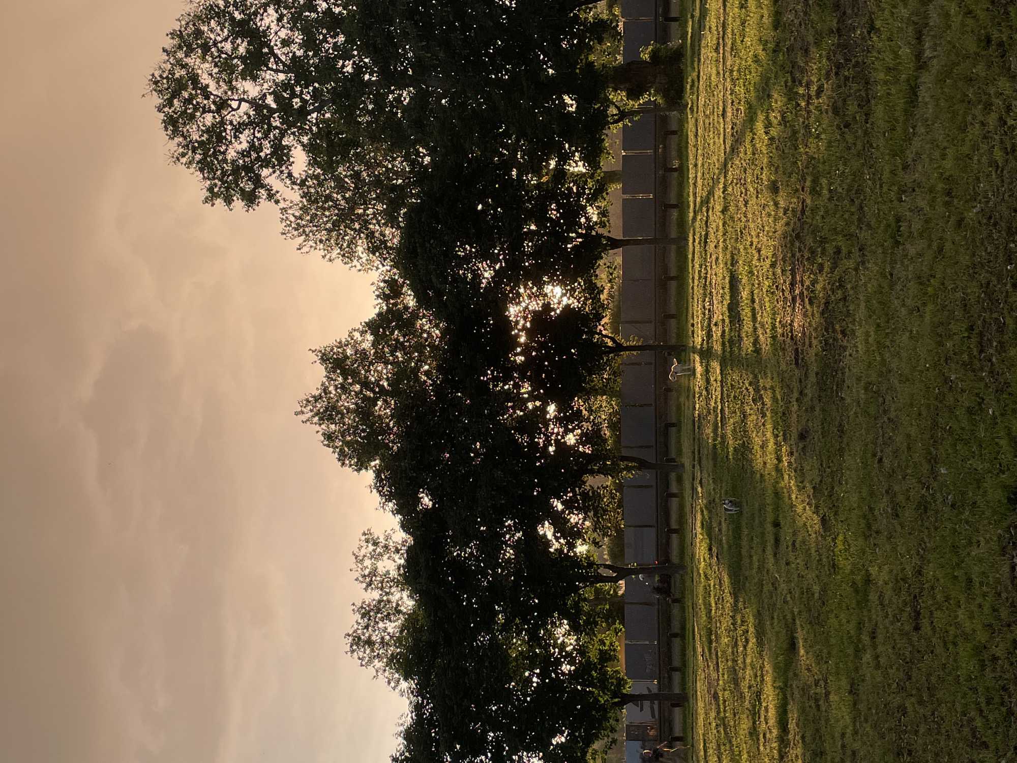 The image shows a row of trees casting shadows on a grassy field. The sun shines through the trees. There are gray objects in the background, potentially a wall or structure. People can be observed in the image, their presence being revealed through the details available from the image. The specific location is a point within the city of Belgrade, Serbia. The image shows that objects are lit by the sun.