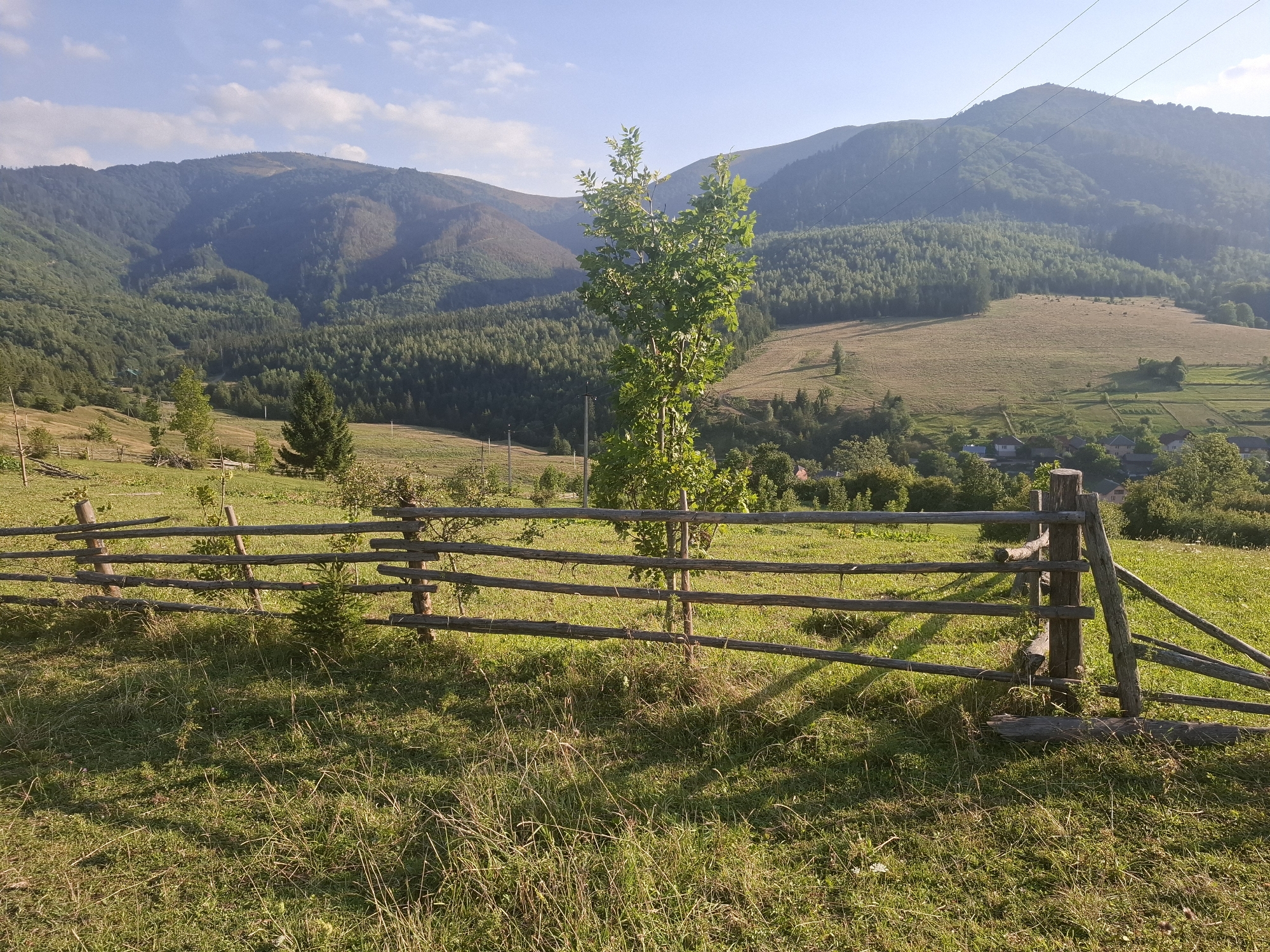 A rustic wooden fence runs across the foreground of this image, situated on a grassy slope. The fence, made of rough-hewn logs, is weathered and slightly uneven, suggesting an age and rural setting. Behind the fence, a vibrant green tree stands prominently, its leaves catching the sunlight. The middle ground is a rolling landscape of green fields and dense forests that climb the sides of mountains. The mountains themselves are a majestic backdrop, their peaks receding into a hazy blue sky dotted with a few wispy clouds. In the far distance, a small village is nestled among the trees. The overall impression is one of serene natural beauty and a simple, rural lifestyle, likely in the vicinity of Volovets, Ukraine, a town known for its stunning mountain scenery.
