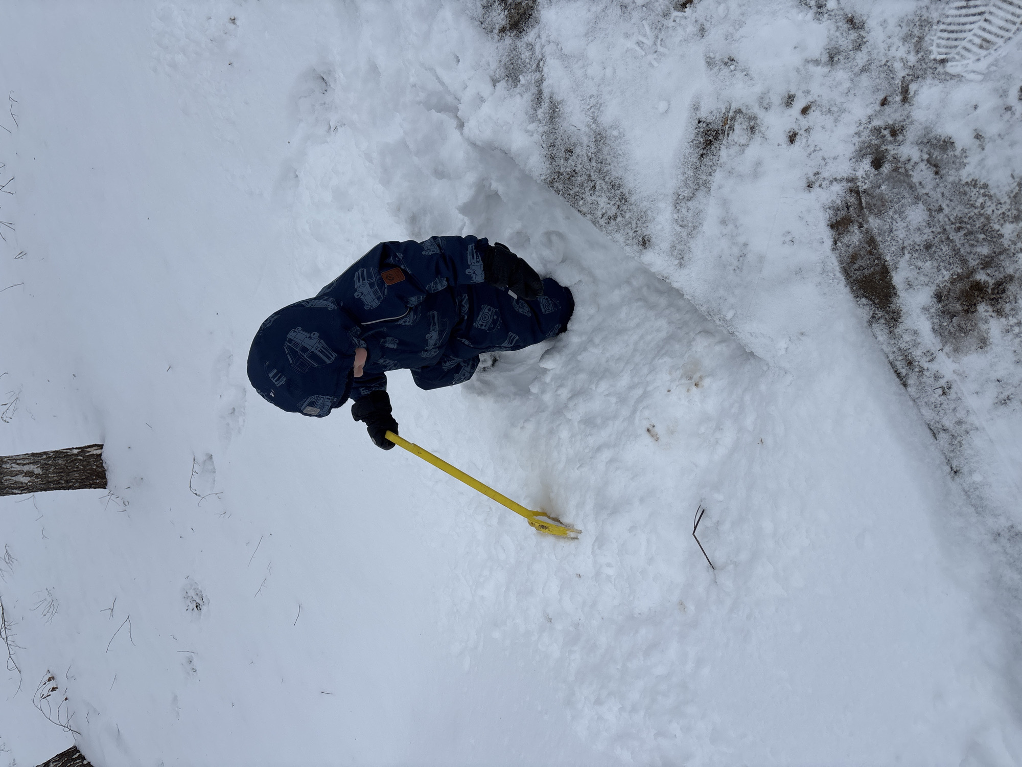 The image shows a child in a winter jumpsuit and gloves, outdoors in a snowy environment. The child is using a yellow toy rake to interact with the snow. The ground is covered in snow, with some patches of dirt or debris visible. A log is seen on the left side of the image, and there is a patch of bare earth or ground cover on the top right side. The location is in a snowy area, the town of Ferma, Russia is not evident in the image.