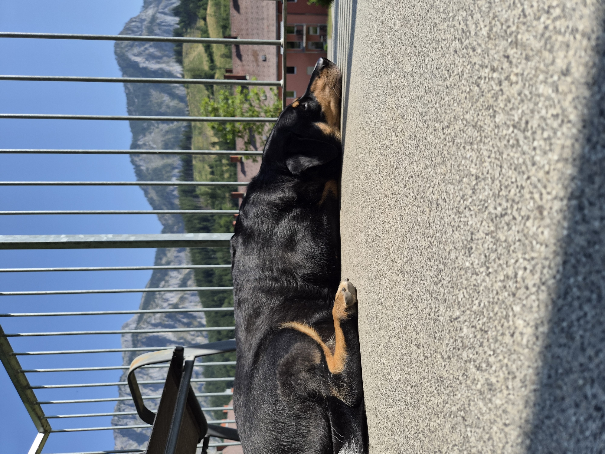 A black and tan dog is lying on a textured, beige outdoor surface, likely a balcony or patio, in the city of Eisenerz, Austria. The dog is resting its head on the surface, facing to the right. Behind the dog, a metal railing with vertical bars runs across the frame. Beyond the railing, a clear blue sky stretches over a mountainous landscape. The mountains are rocky and covered in green trees in the lower sections. In the middle ground, several red-tiled buildings with balconies are visible amongst more trees. The sun is casting shadows from the railing onto the ground in front of the dog. A portion of a metal chair is visible on the left side of the image, behind the railing.