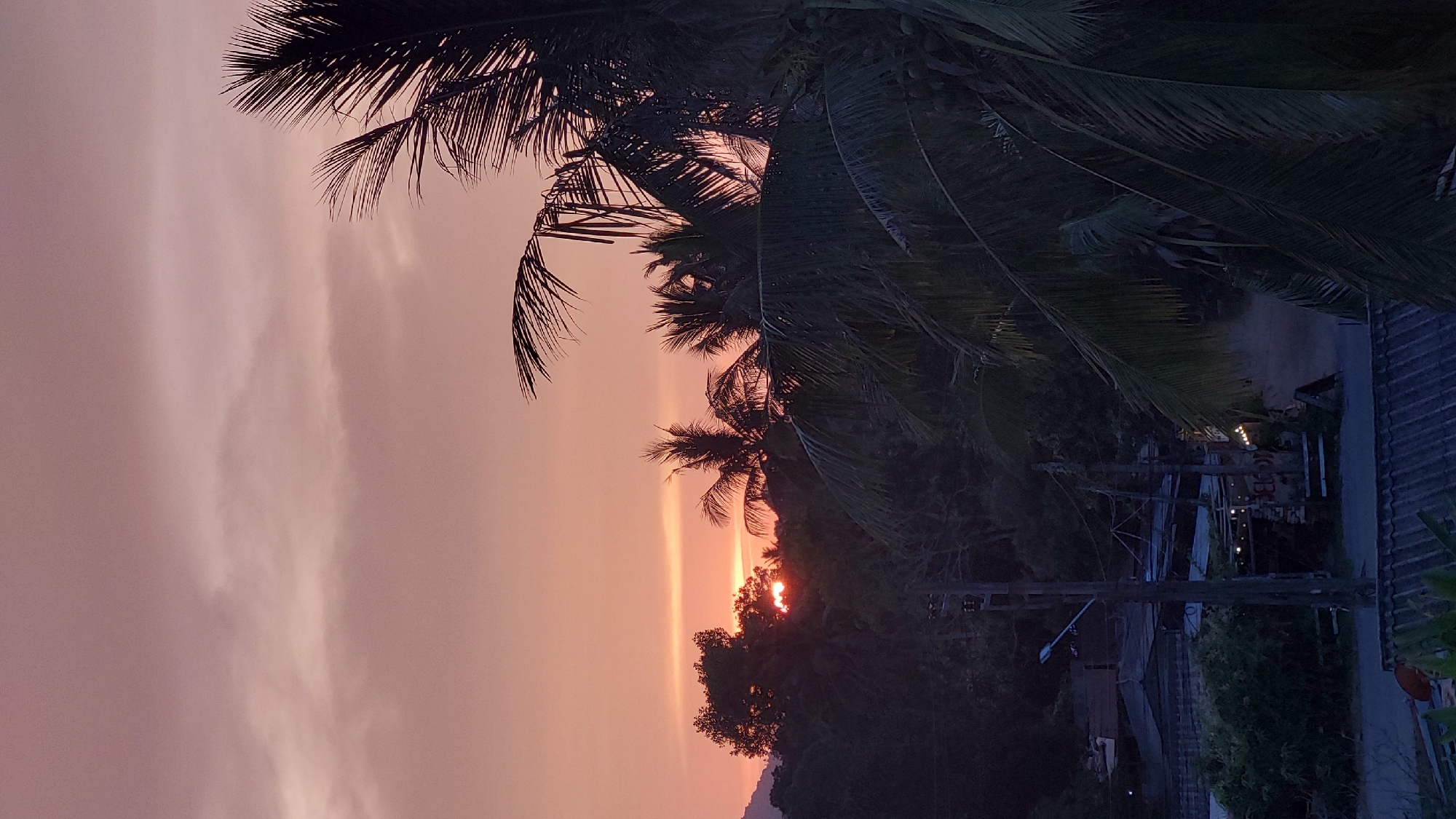 A low-angle shot displays the sky at sunset in Baan Mae Nam, Thailand. The lower portion of the frame is comprised of trees, the sun is obscured behind the foliage, and utility poles run through the lower right side of the image. The top portion of the frame is primarily clouds of orange and pink tones. Palm fronds are present on the left and right sides of the upper half of the frame, and a roof is present in the bottom right corner of the frame.
