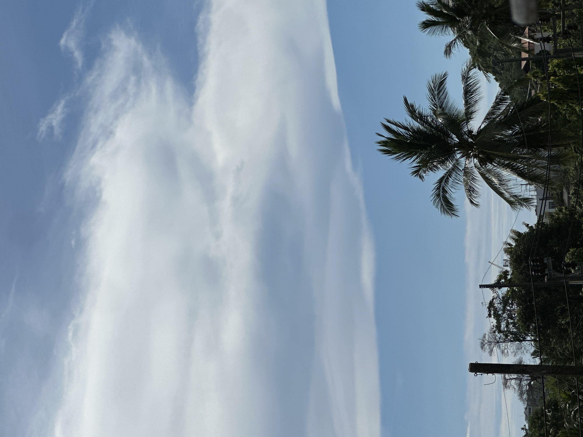 This image depicts a view from Karon, Thailand, featuring a partly cloudy sky with a band of white, wispy clouds stretching across the upper portion of the frame. Below the clouds, a clear blue sky is visible. In the foreground, a silhouetted palm tree with its fronds spread wide dominates the right side of the image, with a second palm tree partially visible to its right. A wooden utility pole with wires is prominent on the left side of the frame. The background consists of dense green foliage, suggesting a tropical environment, with glimpses of buildings and structures amidst the trees. A distant hill or mountain is visible behind the palm trees, adding to the natural landscape. The overall scene suggests an outdoor environment during daylight hours.