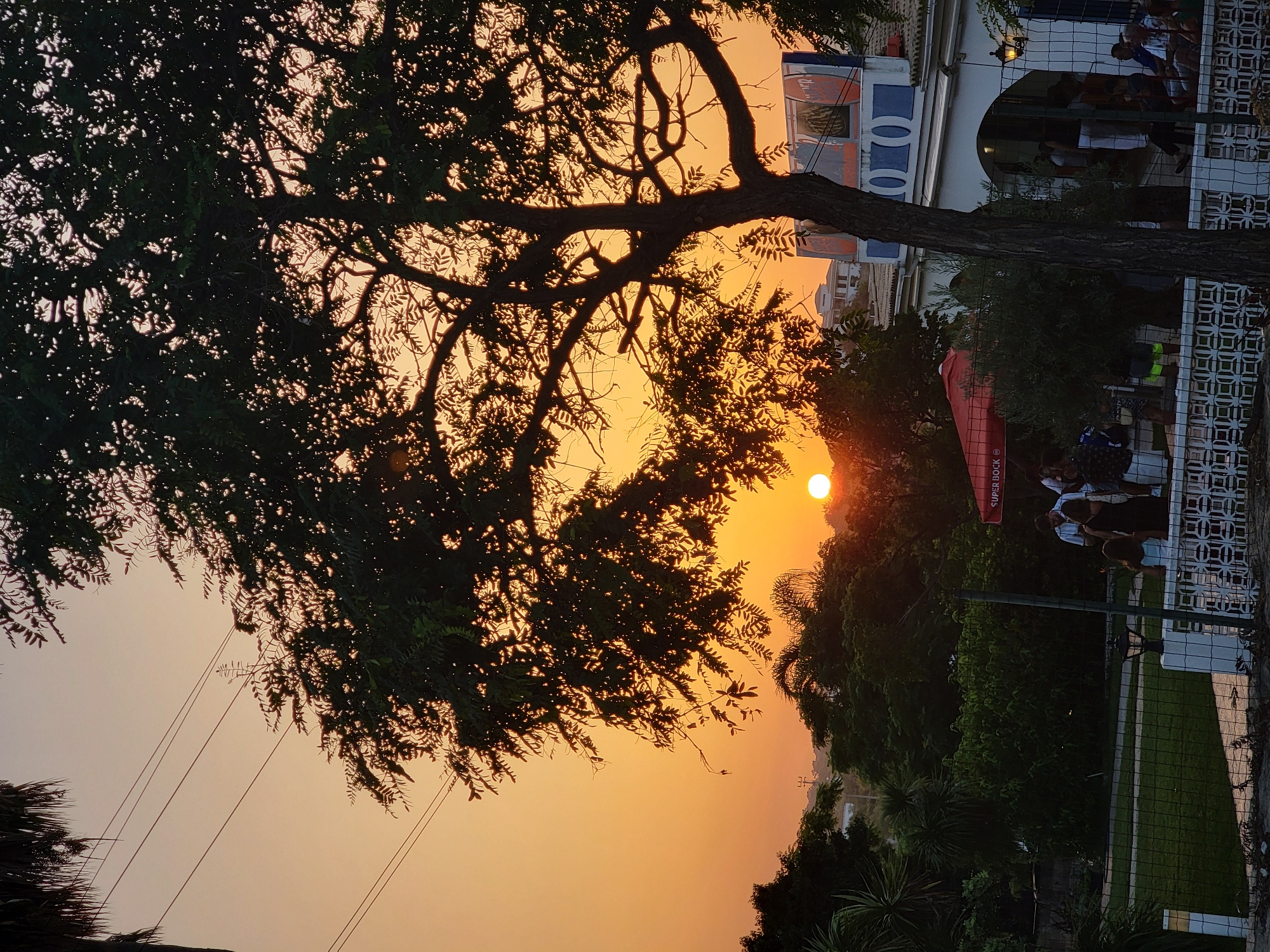 A sunset is visible over Quarteira, Portugal. A large tree dominates the foreground, its dark silhouette contrasting with the bright orange sky. The sun is a small, bright disc on the horizon. In the background, there are green trees, buildings with white walls and blue accents, and a red umbrella. A group of people are gathered outside a building, some standing and some sitting. A black metal fence runs along the bottom of the image, in front of a grassy area. Power lines are visible in the upper left corner. The overall scene depicts a peaceful evening gathering outdoors.