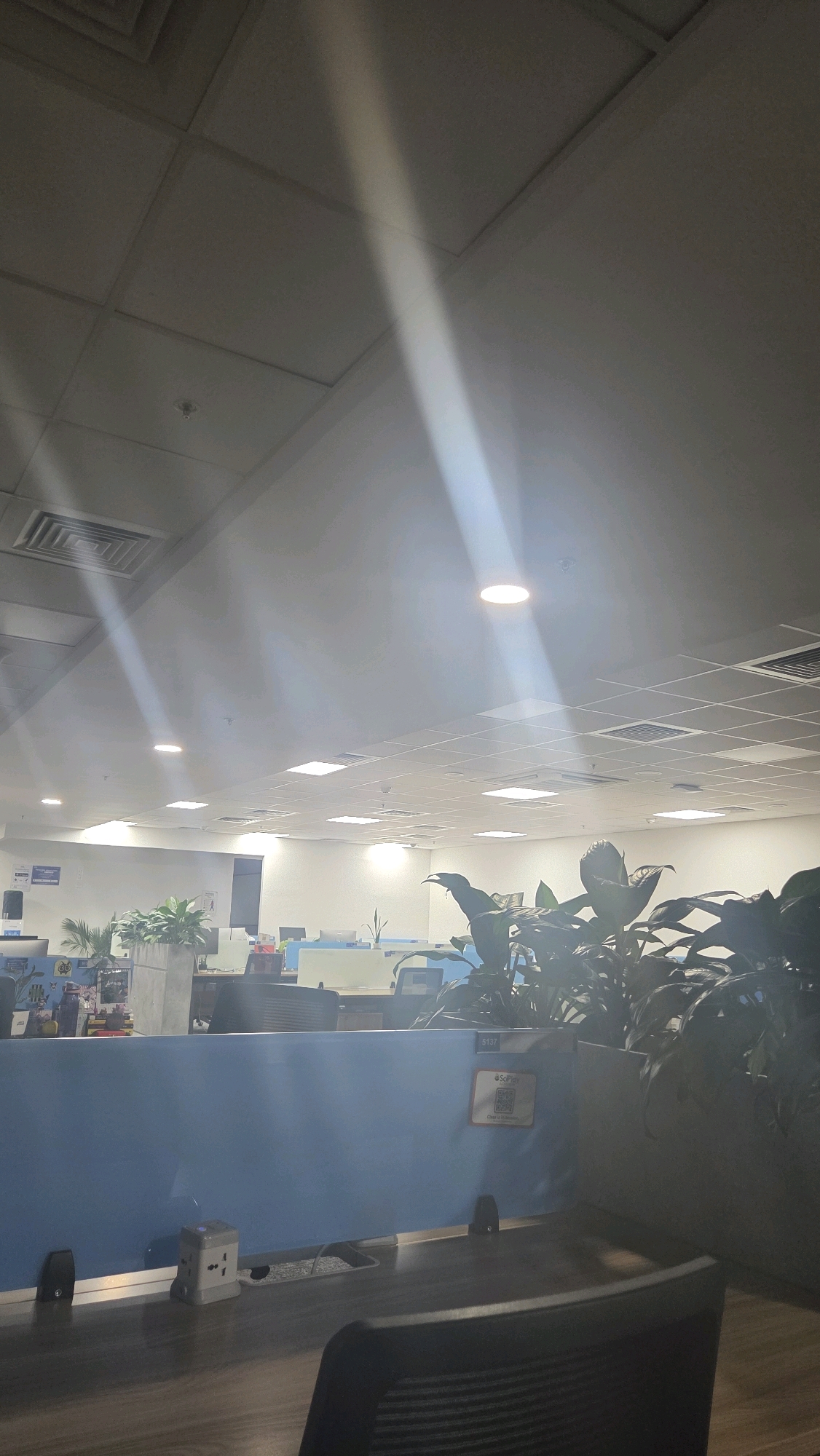 The image depicts an indoor office environment with cubicle partitions and desks. The ceiling has a grid of acoustic tiles and recessed lighting, with a prominent diagonal beam of sunlight illuminating the space from the upper left. Several potted plants are visible, contributing to the office decor. One cubicle partition displays a QR code and the number "5137". A universal power adapter is plugged into an outlet on a desk. The scene appears to be a typical workspace in a modern office building. The presence of plants and the general setup suggest a professional setting. The lighting conditions indicate it might be daytime, with natural light entering the room.