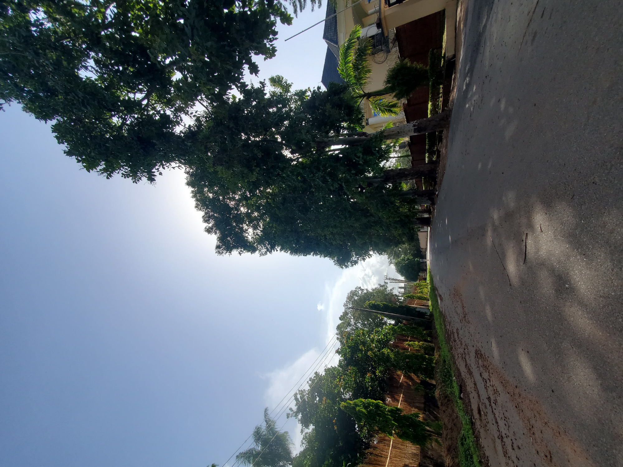 The image depicts a street scene in Jos, Nigeria, under a bright, hazy sky. A paved road dominates the foreground, with patches of dirt and debris visible along its edges. Tall, leafy trees line both sides of the street, casting dappled shadows on the asphalt. On the left, a low, rustic fence made of woven material separates the road from a strip of greenery and more trees. Power lines stretch across the upper portion of the image.
On the right side of the street, a large, modern house with a dark roof and cream-colored walls is partially visible, set back behind a brick wall and manicured hedges. Palm trees and other ornamental plants surround the property. The overall impression is of a well-maintained residential area within the city. The sun is bright, creating a lens flare effect in the upper center of the image, suggesting it is either morning or late afternoon. There is a single, small figure of a person walking in the distance on the right side of the road, contributing to the sense of a quiet, everyday scene.
