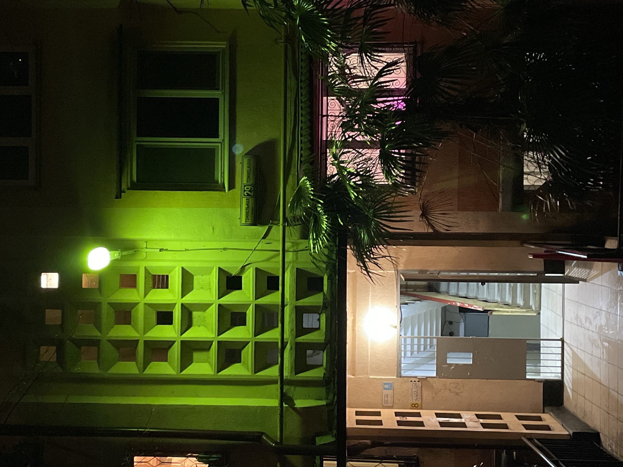 The image depicts an exterior urban scene at night, likely in Sochi, Russia, based on the Cyrillic characters on a building sign that says "ТОННЕЛЬНАЯ 29" which translates to "TONNELNAYA 29". The buildings are illuminated by streetlights, creating stark contrasts of light and shadow.
On the left, a building has windows and a decorative wall with square recesses, painted in a bright green hue from the streetlight. A street sign bearing the building address is visible.
To the right, a multi-story structure appears, with an open passage revealing stairs leading upward. Another streetlight illuminates this area, casting a warm glow. Architectural details like tiled walls and metal railings are apparent.
Palm trees partially obscure the buildings, their fronds silhouetted against the night sky and windows. One window has a decorative wrought iron grill, and a faint pinkish light shines through. The perspective suggests the photo was taken from a low angle, looking upwards.
