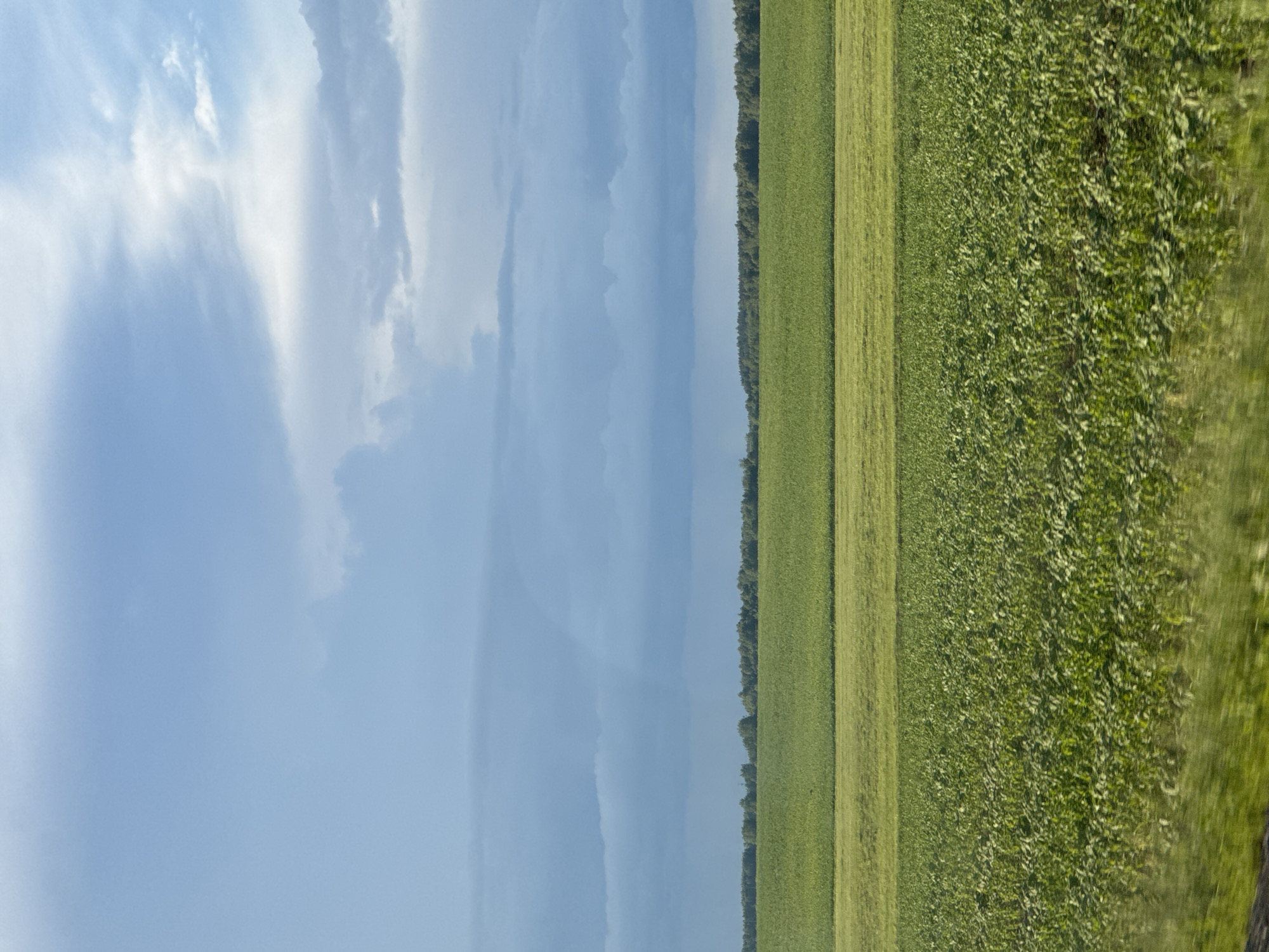 This is a photograph of a landscape featuring a vast green field under a cloudy blue sky. The field appears to be agricultural, with distinct sections suggesting different crops or stages of growth. A line of trees forms a border between the field and the sky, creating a sense of depth. The lighting suggests it is daytime, and the clouds indicate a possibly overcast or partly cloudy day. The image has a vertical orientation, with the sky occupying the left half and the field the right. The overall impression is one of rural tranquility and the immensity of nature. There is no visible text in the image. The location context indicates this scene is from the Aktsyabrski Rural Council in Belarus.