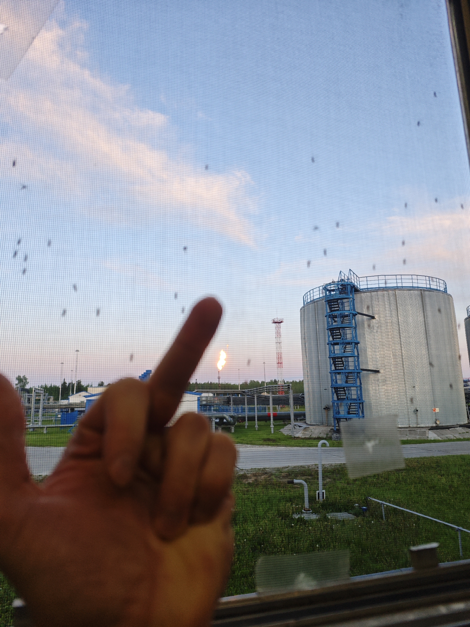 A slightly tilted, medium shot captures a view through a mosquito screen, revealing an industrial landscape at dusk. In the foreground, a blurred human hand, illuminated by warm light, intrudes into the frame, with a middle finger prominently extended towards the camera, partially obscuring the background. The background scene is dominated by a large, cylindrical silver storage tank with a blue staircase and railing leading to its top. To the left of this tank, a red and white tower with a communication antenna is visible. Further in the background, industrial infrastructure including pipes, other smaller tanks, and buildings can be seen, set against a backdrop of green grass and a pale, cloudy sky tinged with the soft hues of sunset. Several dark specks, likely insects or debris, are scattered across the mosquito screen, adding a layer of texture and depth to the image. A prominent flame erupts from a stack in the middle distance, casting a bright, flickering light.