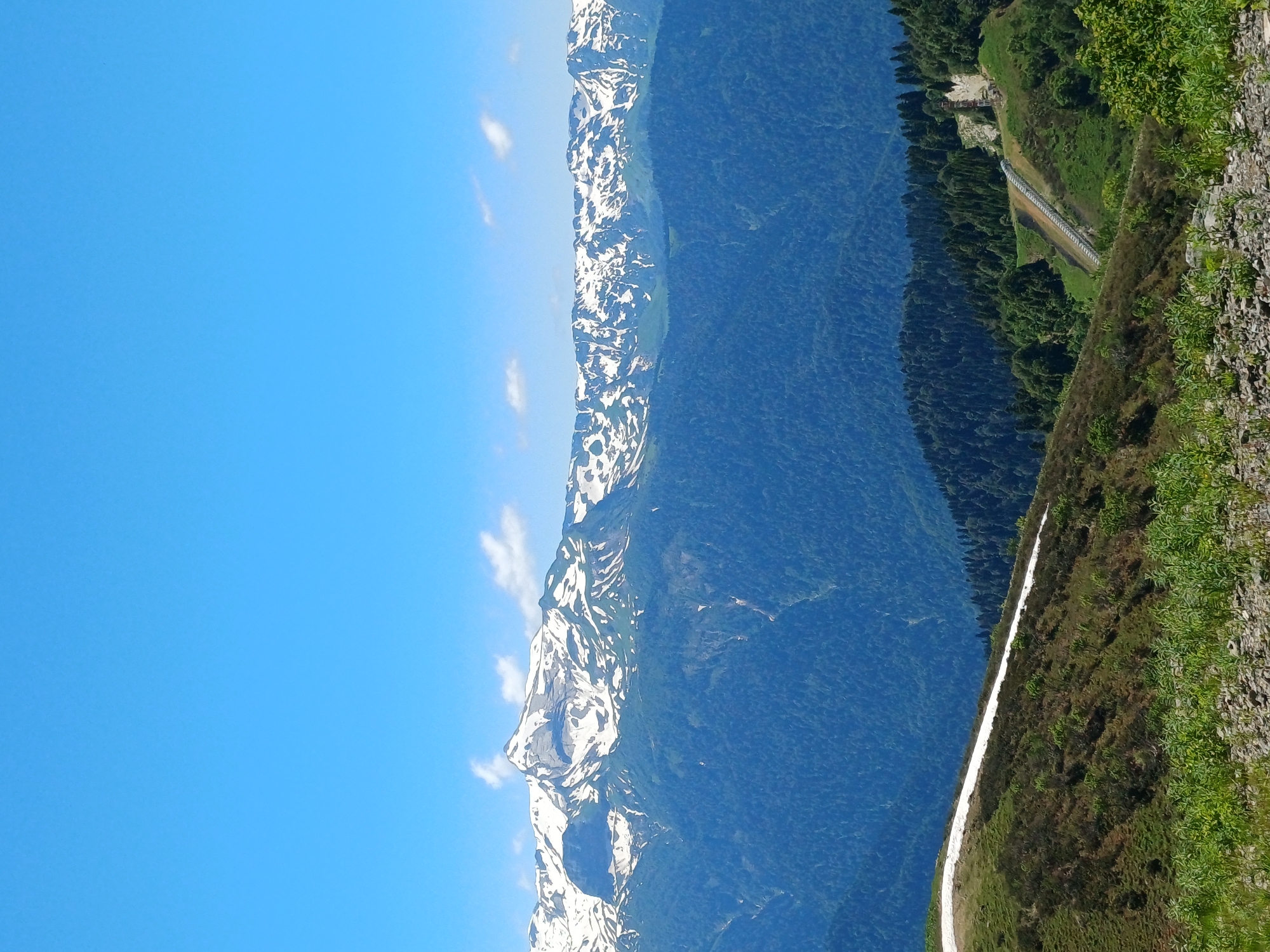 This is a vertical, wide-angle photograph of a mountain landscape. The scene depicts a steep mountain slope covered in dark green coniferous trees. Above the treeline, a jagged mountain range with patches of snow stretches across the frame. The sky is a clear, bright blue with a few wispy white clouds. In the foreground, the slope transitions to a grassy, rocky area with a white path winding its way up. There are no people or animals visible in the image. The lighting suggests it is daytime, likely midday, with bright sunshine casting shadows. The overall impression is one of a natural, remote mountain environment. The location context suggests this is a view of the Caucasus Mountains near Estosadok, Russia.